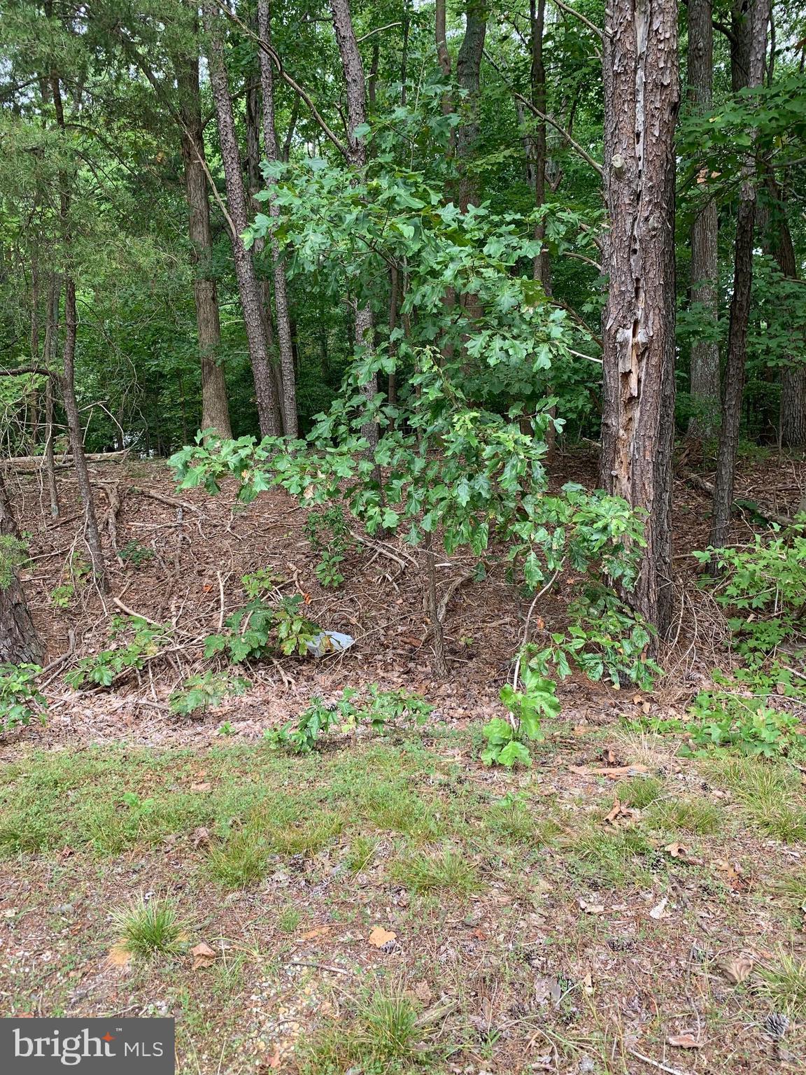 THIS ONE ACRE  PROPERTY IS JUST A SHORT WALK  TO LAKE INDEPENDENCE BEACH FOR SWIMMING, PICNICING, GRILLING, AND SUN TANNING.  IT IS  LOCATED IN STRATFORD HARBOUR SUBDIVIDSON WITH MANY AMENITIES LIKE TENNIS, BASKETBALL AND PICKLEBALL COURTS, MARINA, TOTS PLAYGROUND, SWIMMING POOL, CLUBHOUSE.  IT HAS LAUNCHING AREAS FOR LAKE INDEPENDENCE AND THE POTOMAC RIVER, MARINA ON THE POTOMAC, TWO BEACHES, ONE ON LAKE INDEPENDENCE AND ONE AT SHARK'S TOOTH BEACH ON THE POTOMAC.  BEST KEPT SECRET IN WESTMORELAND COUNTY.  BRING YOUR BUILDER OR CAN CONTACT ONE FOR YOU.  PROPERTY WAS PREVIOUSLY PERKED FOR A 3 BEDROOM CONVENTIONAL (in document section)