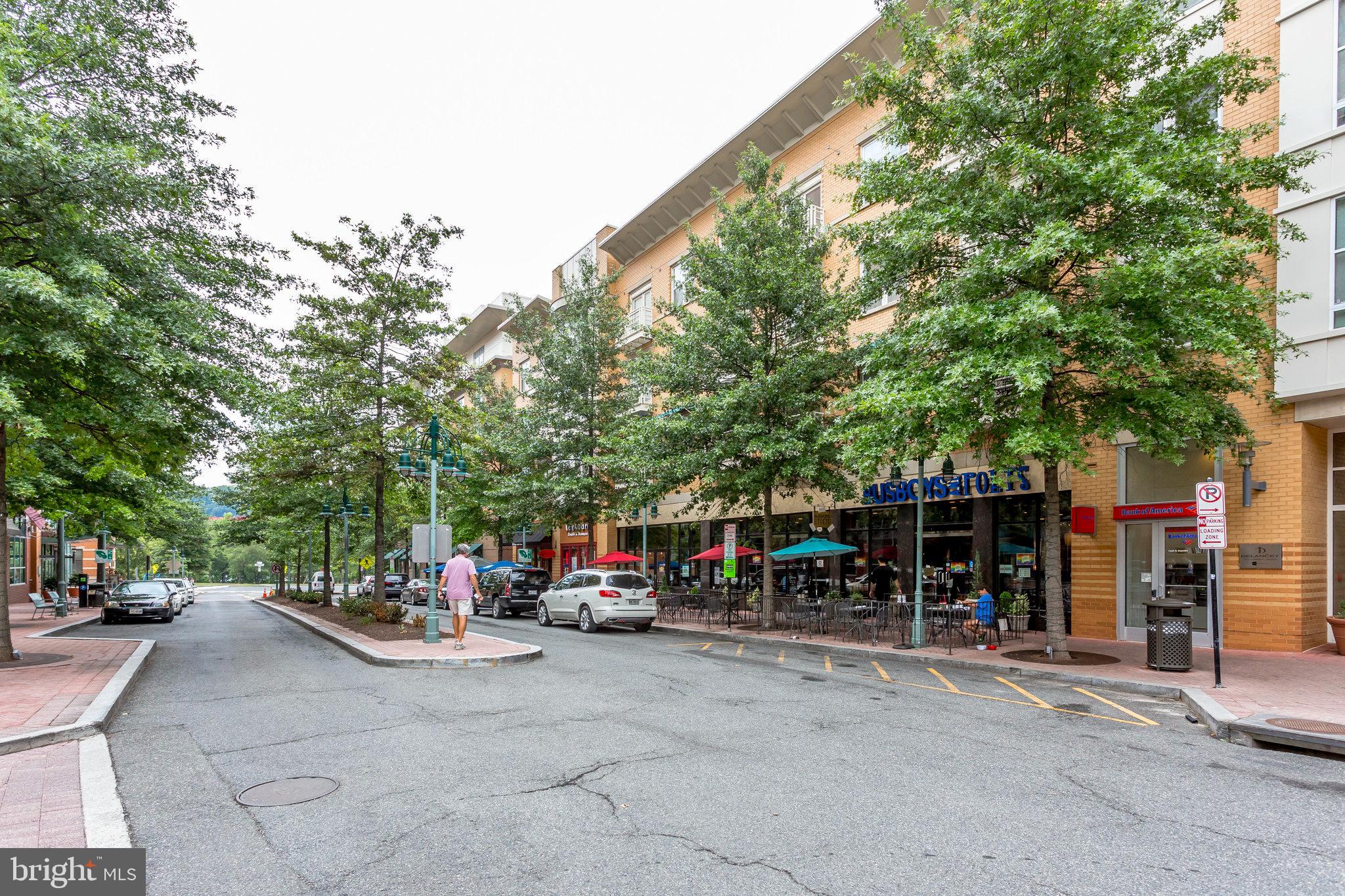 FAIRLINGTON MEWS - Residential