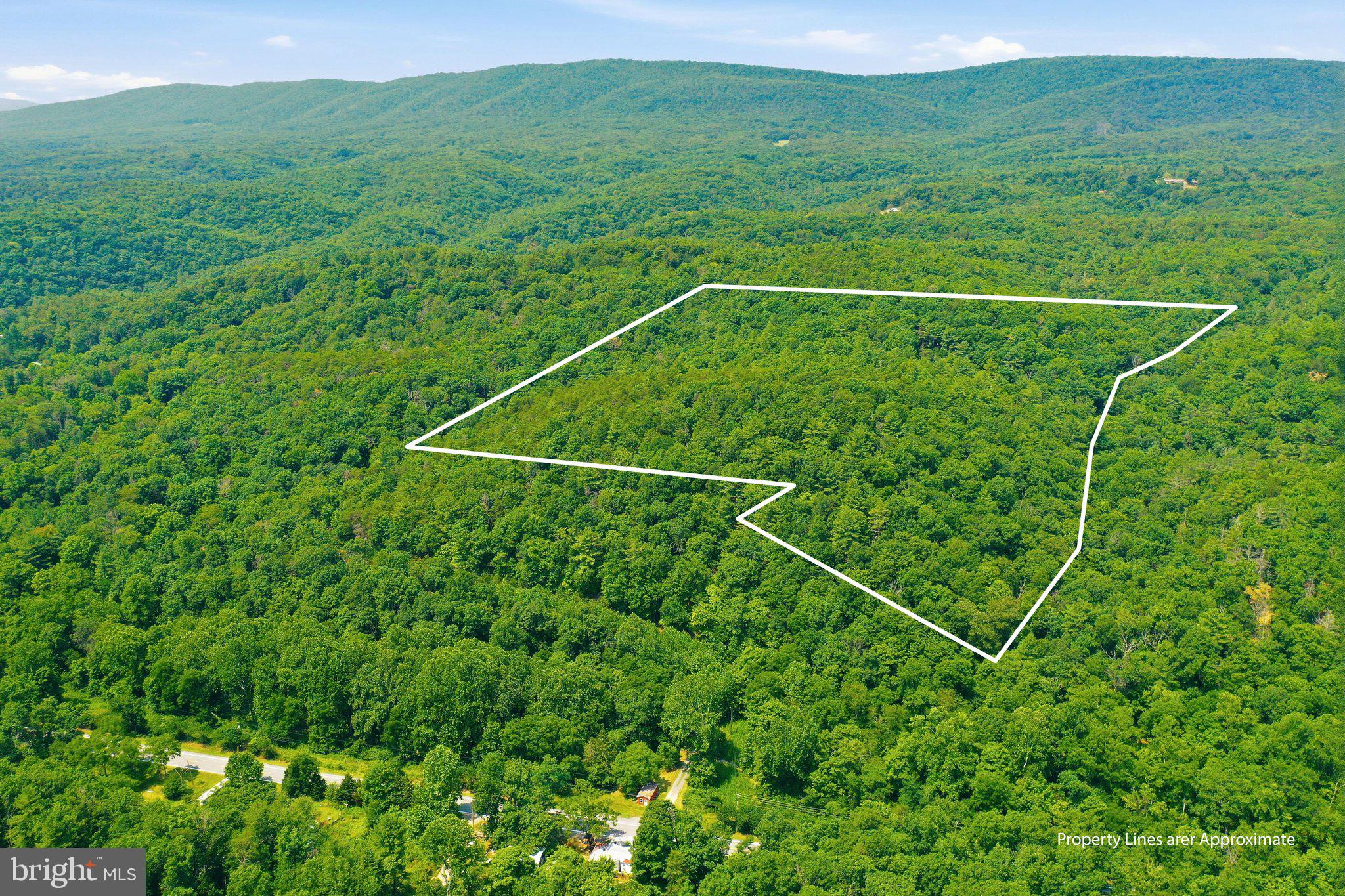 Escape the hustle and discover your own slice of Almost Heaven on this 35.17-acre mountain property, ideally located for a weekend retreat or full-time residence. Conveniently accessible from the DC, Maryland, and Northern Virginia areas, this secluded tract offers the perfect balance of privacy, recreation, and investment potential.

The property has been subdivided into five lots, providing exceptional flexibility if you prefer to have multiple home sites:

Lot 2: 4.70 acres
Lot 3: 4.28 acres
Lot 4: 3.10 acres
Lot 5: 20.27 acres
Lot 6: 3.43 acres

Surrounded by mature hardwoods and a beautiful mix of towering pines, this wooded property offers multiple potential homesites and endless opportunities to create your vision. Build a private mountain getaway, family compound, hunting camp, vacation rental, or simply enjoy the land for hiking, camping, ATV riding, and wildlife watching. 

Access is provided by a recorded right-of-way, leading to a peaceful setting that feels worlds away while remaining within a reasonable drive of major metropolitan areas. Whether you're searching for a place to unplug on the weekends, invest in West Virginia land, or build your forever home surrounded by nature, this exceptional property offers the space, privacy, and freedom you've been looking for.