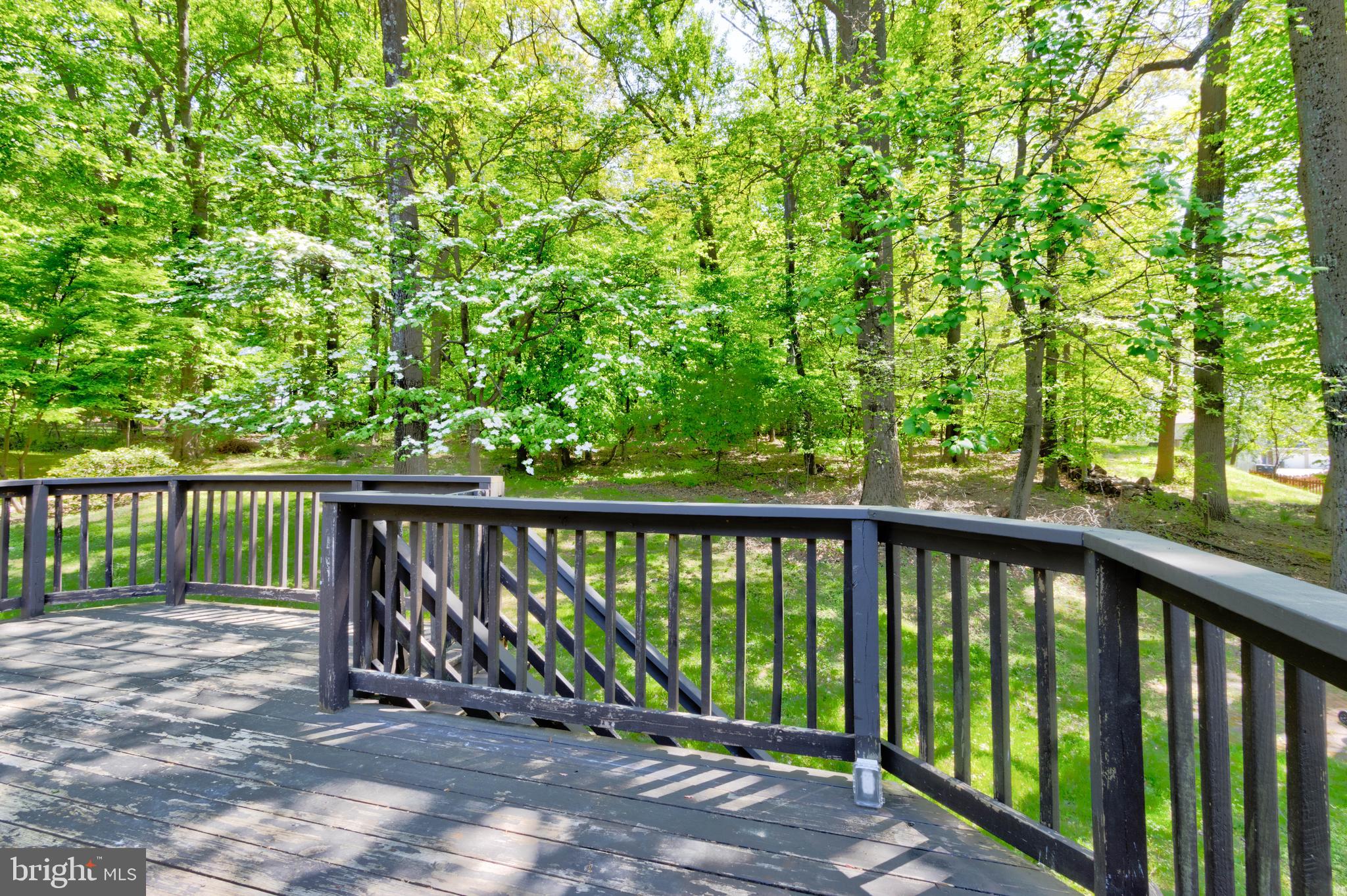 WILLOW WOOD - Residential