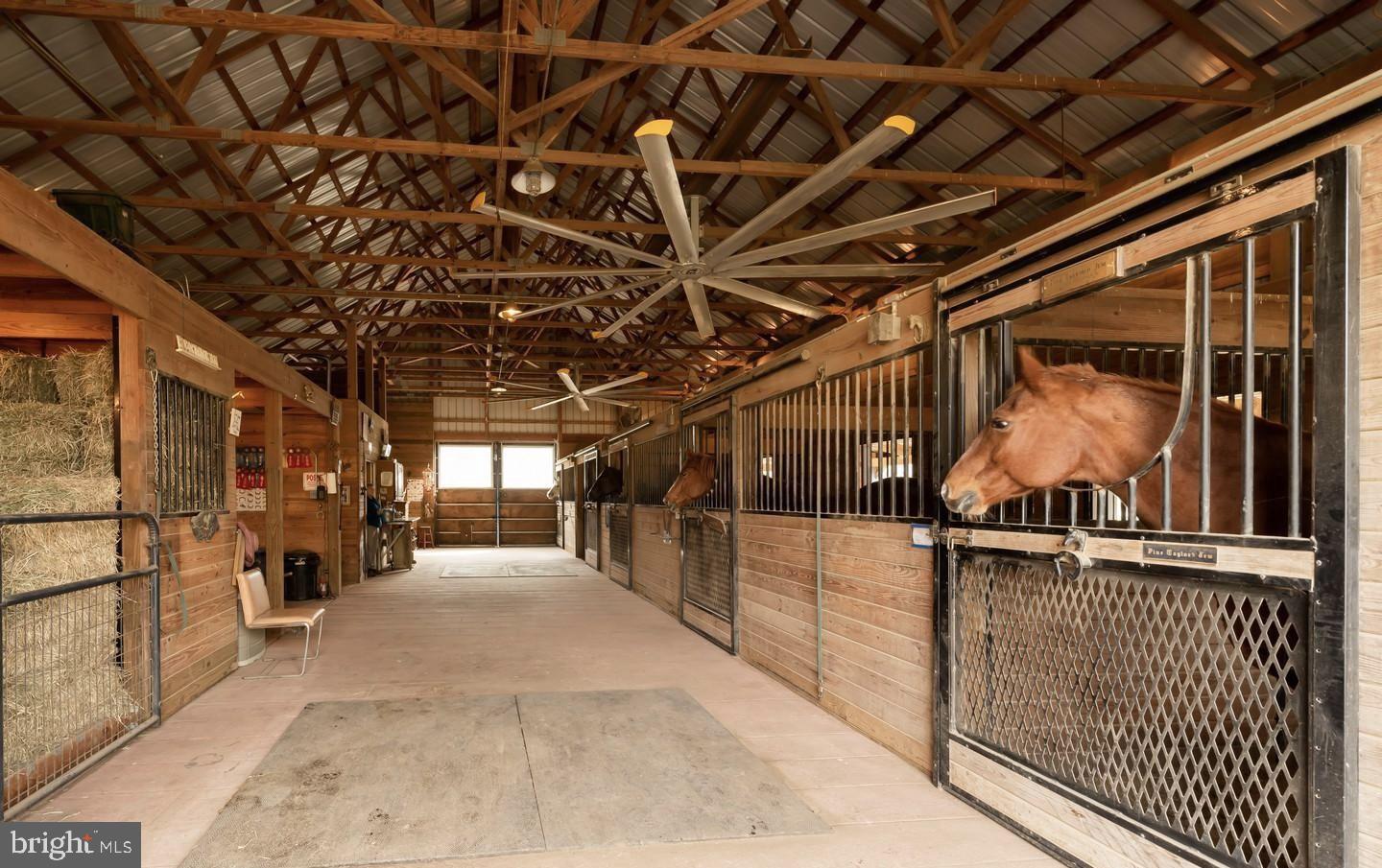 RADNOR HUNT - Residential
