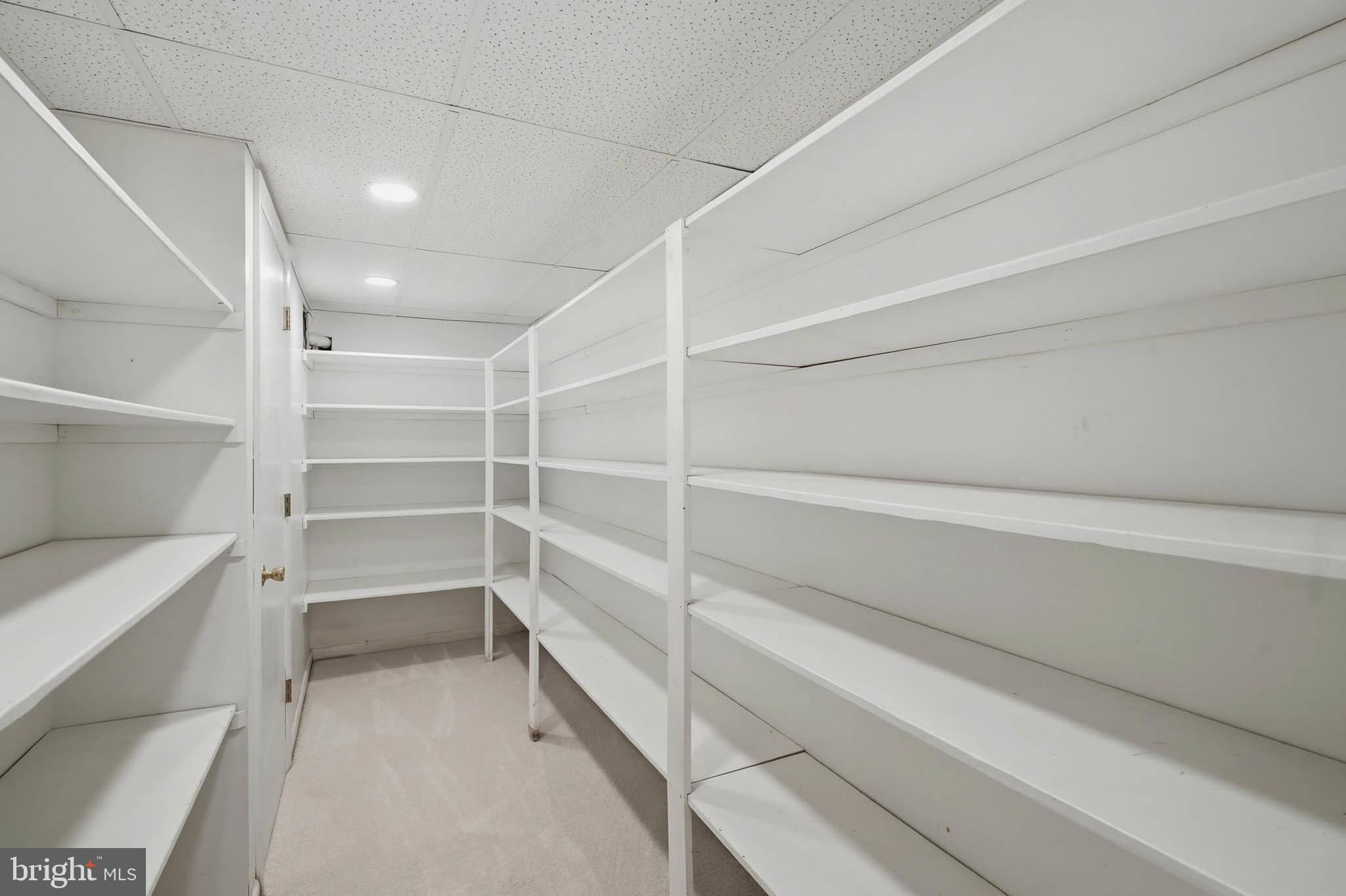 DORSEY SEARCH - Residential