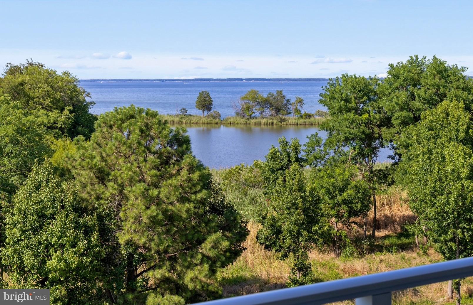 FOUR SEASONS AT KENT ISLAND - Residential