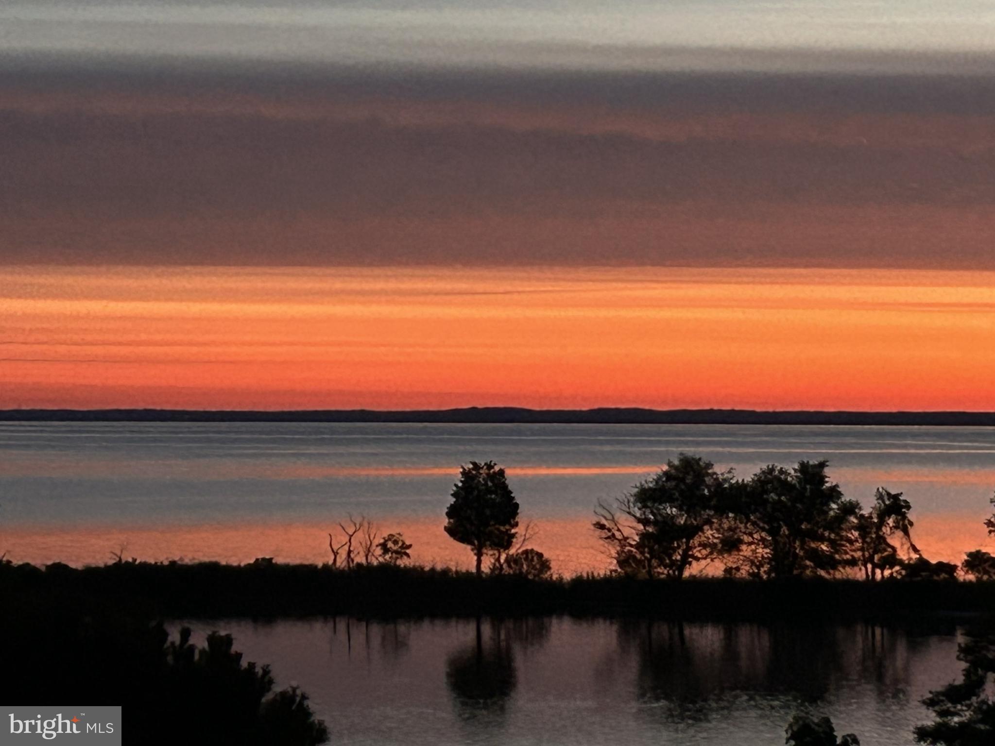 FOUR SEASONS AT KENT ISLAND - Residential