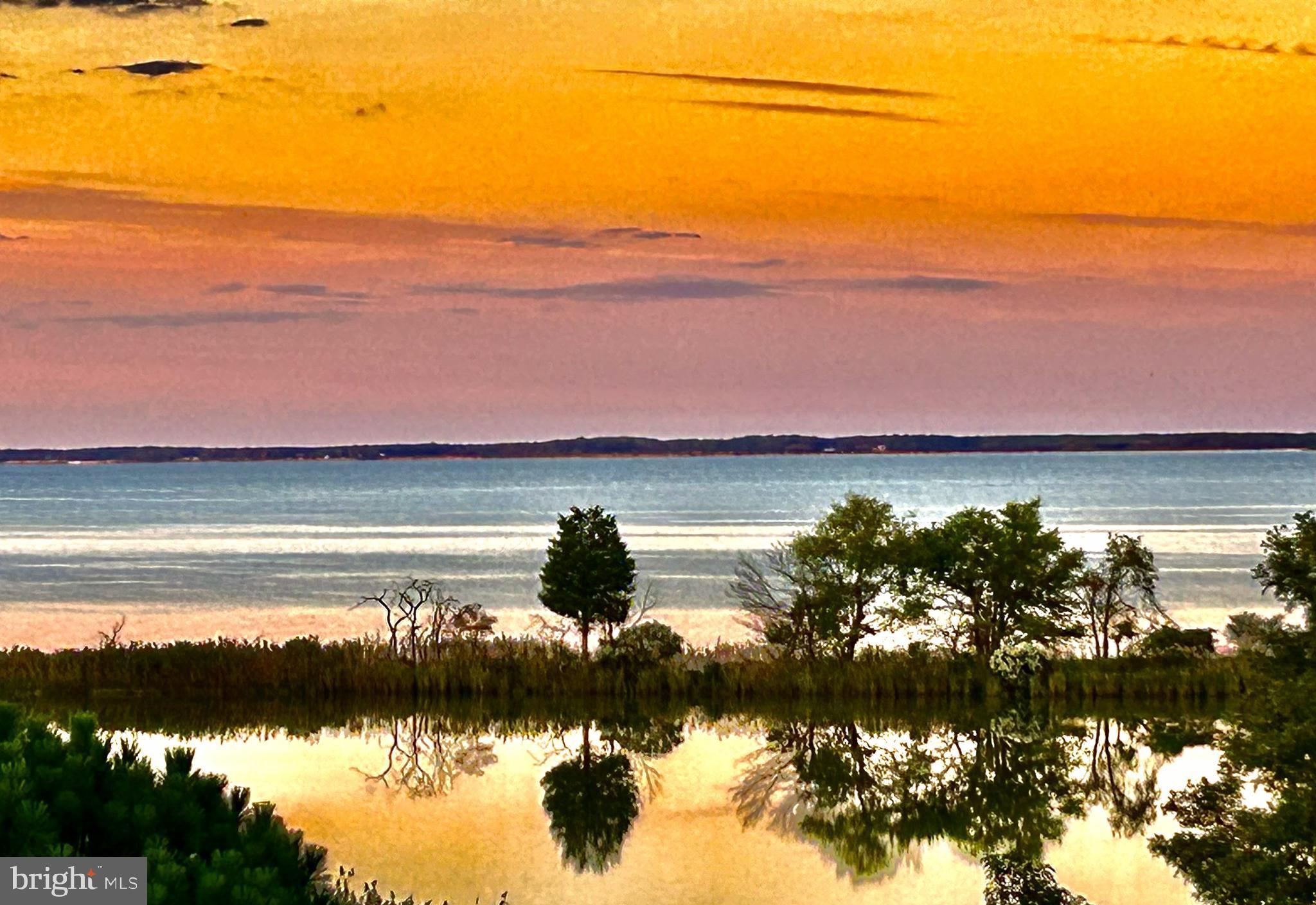 FOUR SEASONS AT KENT ISLAND - Residential