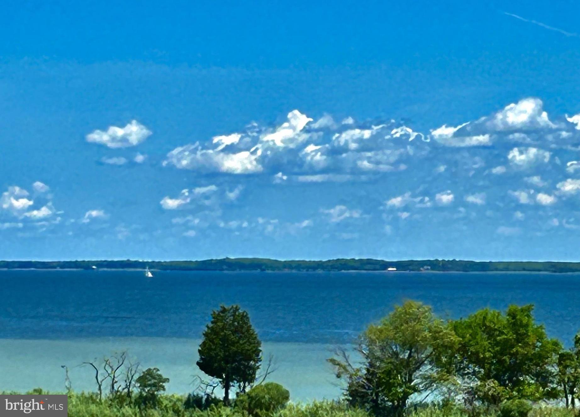 FOUR SEASONS AT KENT ISLAND - Residential