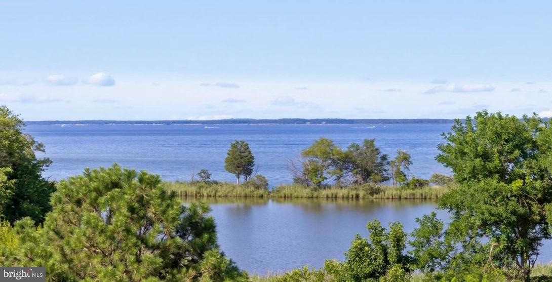 FOUR SEASONS AT KENT ISLAND - Residential