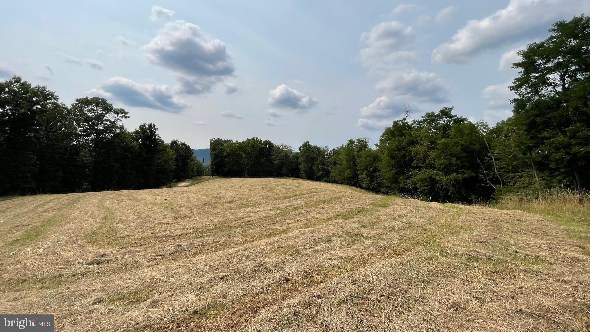 BARB MOUNTAIN ESTATES - Residential