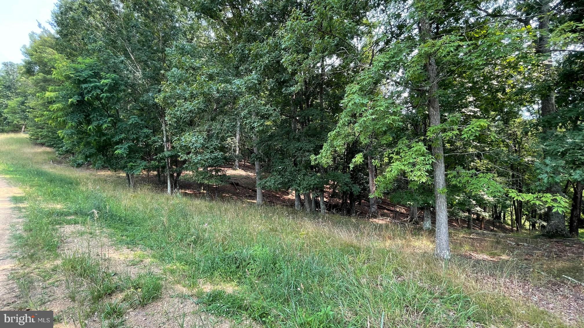 BARB MOUNTAIN ESTATES - Residential