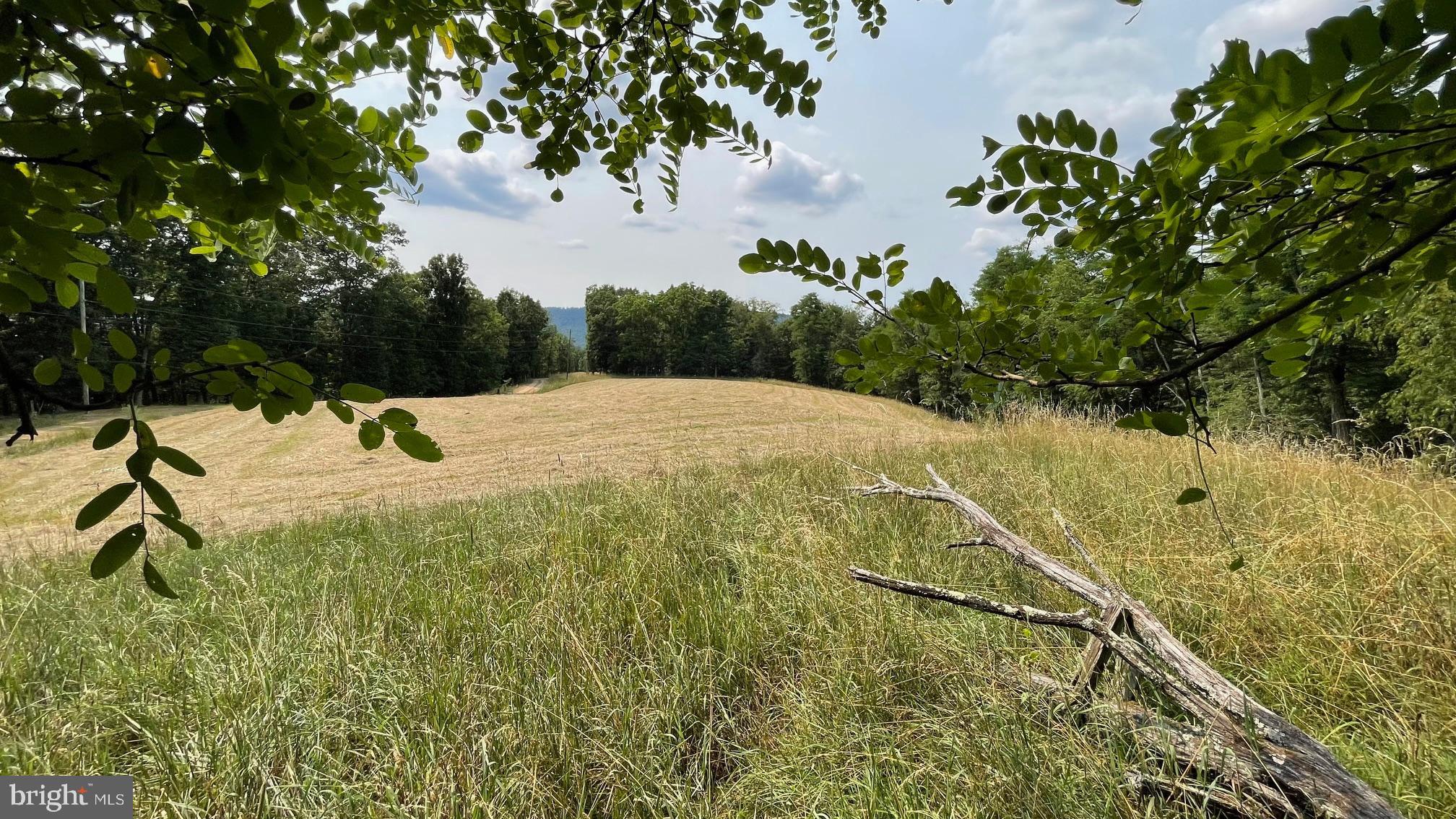 BARB MOUNTAIN ESTATES - Residential