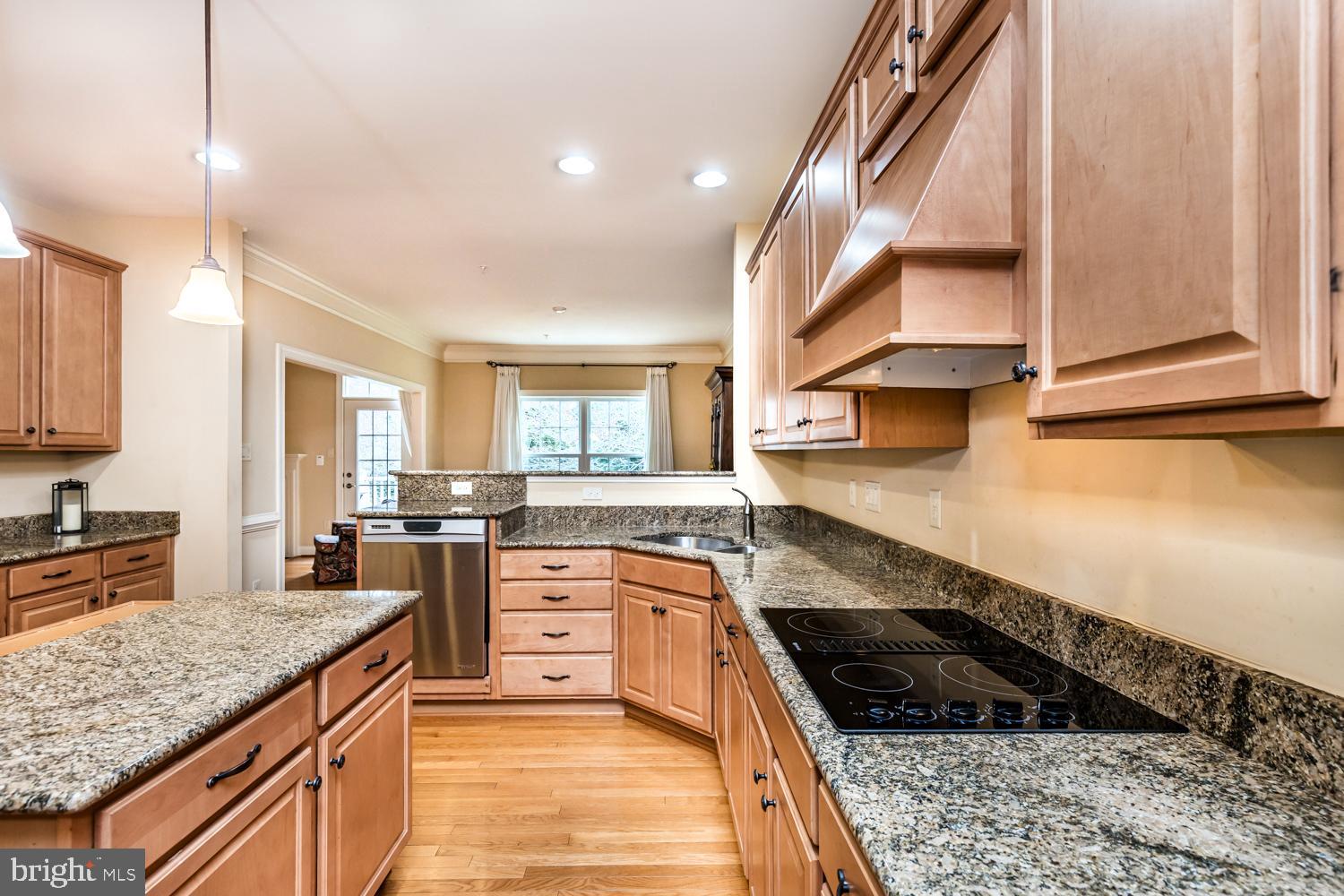 ENCLAVE AT ELLICOTT STATION - Residential
