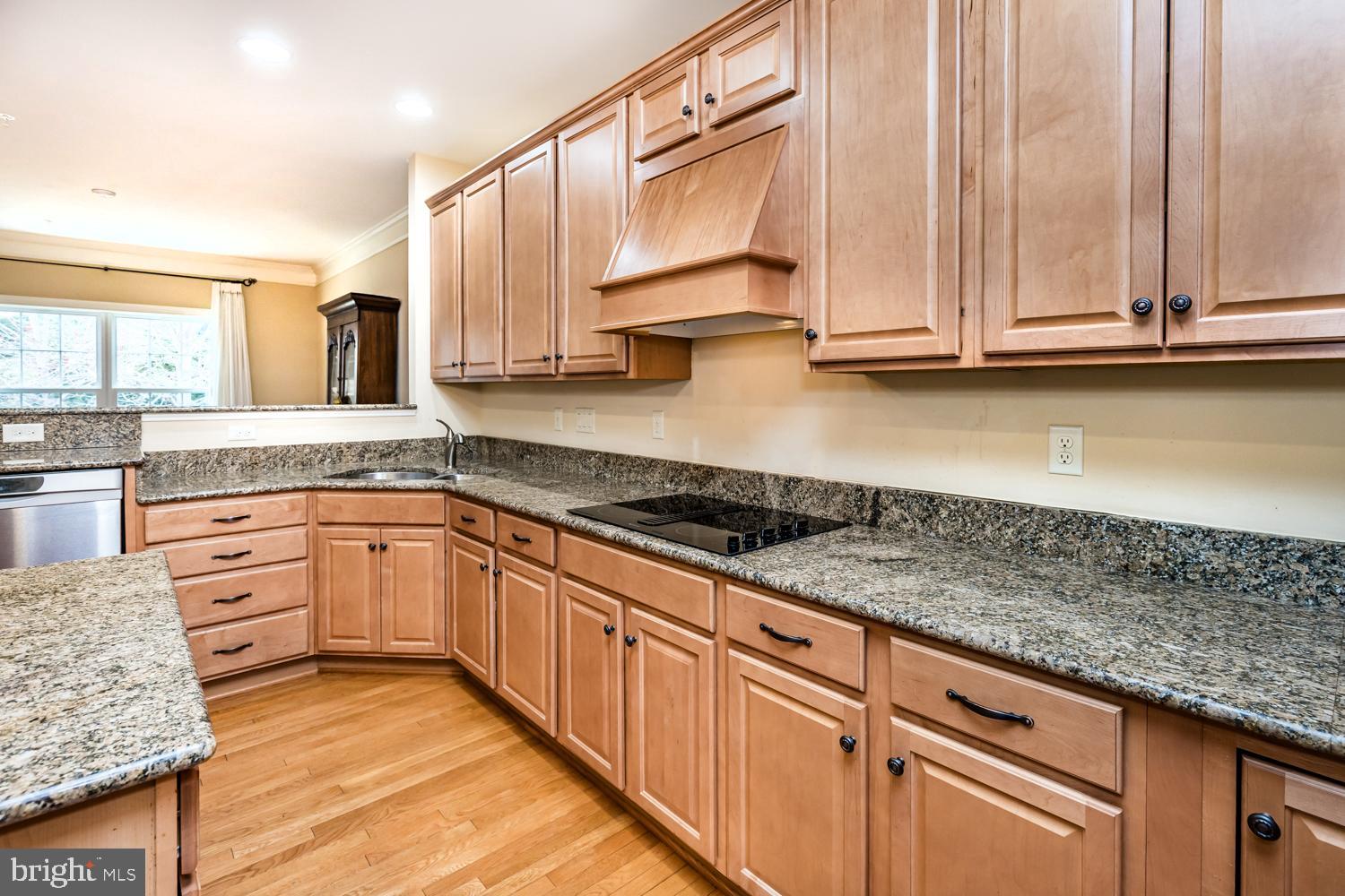 ENCLAVE AT ELLICOTT STATION - Residential