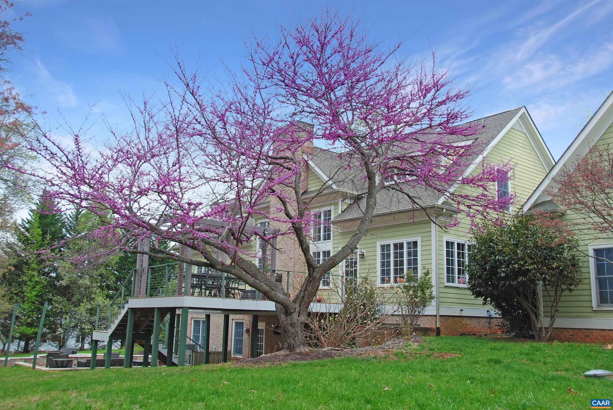 WALNUT HILLS - Residential
