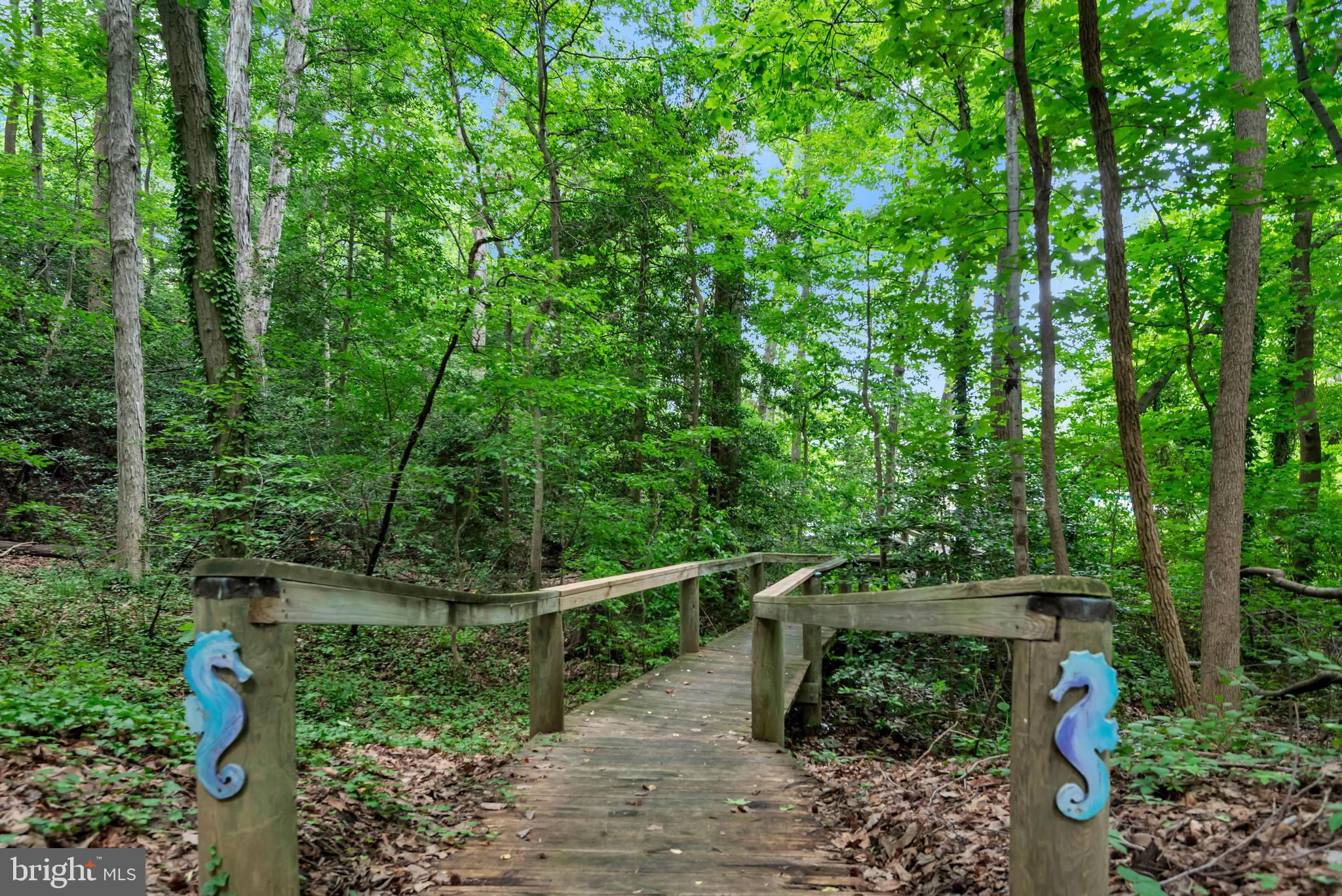 DIVINITY COVE - Residential