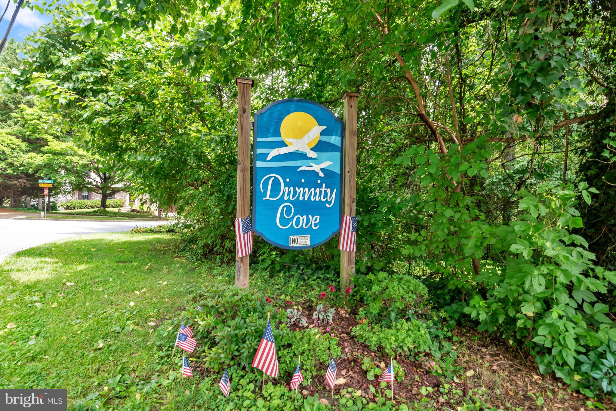 DIVINITY COVE - Residential