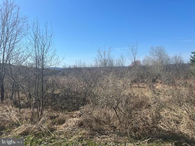 Do you want privacy? Enjoy a breath of fresh air. Beautiful 1+ acre lot, Motivated Seller. NO HOA. 15 minutes drive to Lake Wallenpaupack and many other Pocono Attractions. Any Builder or Modular Homes Accepted. Water is serviced by Aqua America Utilities, No survey but seller is currently working on a septic design.