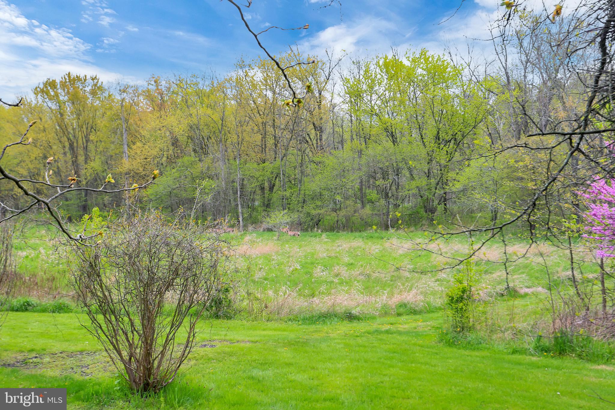 BENT CREEK CROSSING - Residential