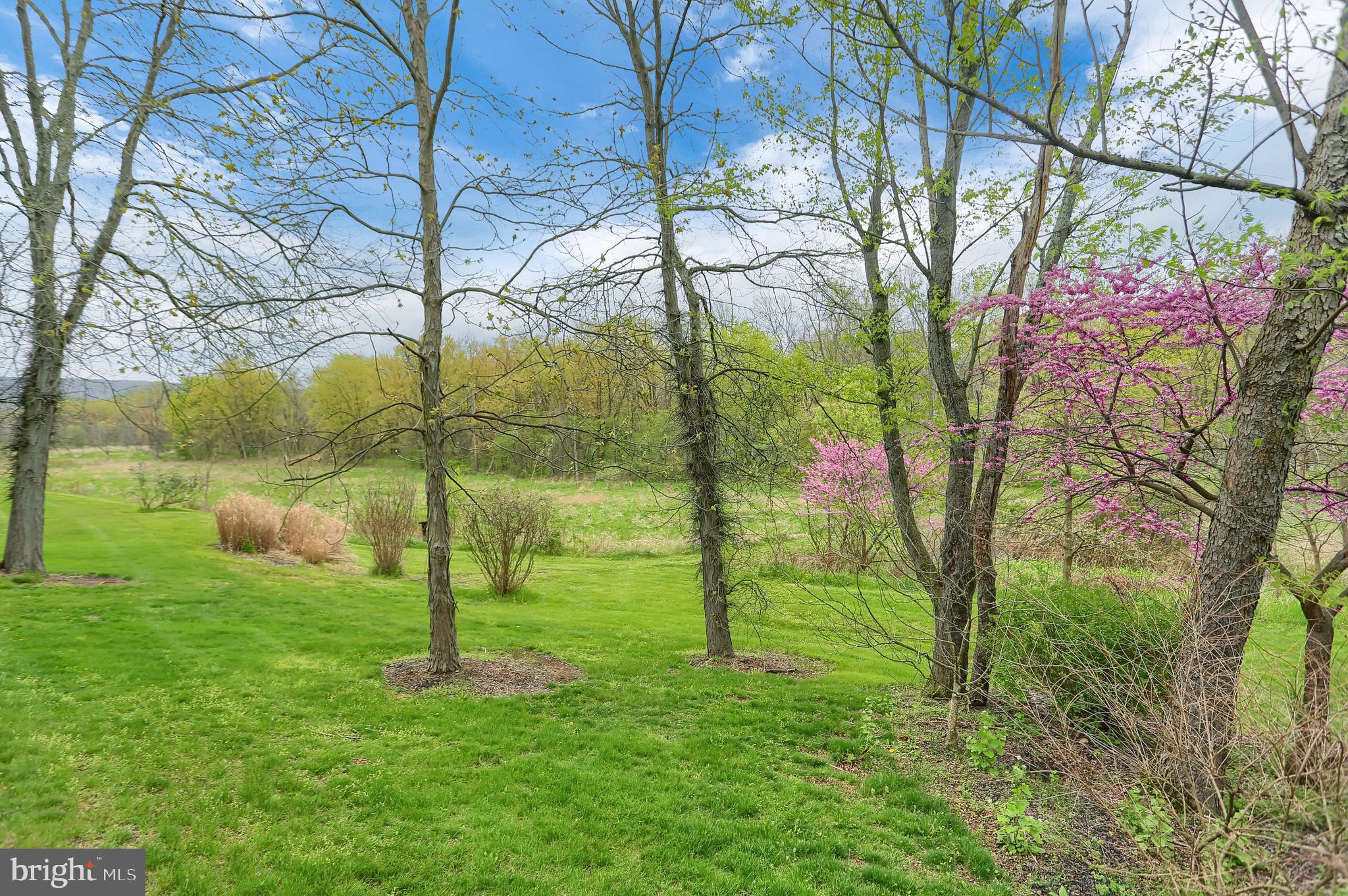 BENT CREEK CROSSING - Residential
