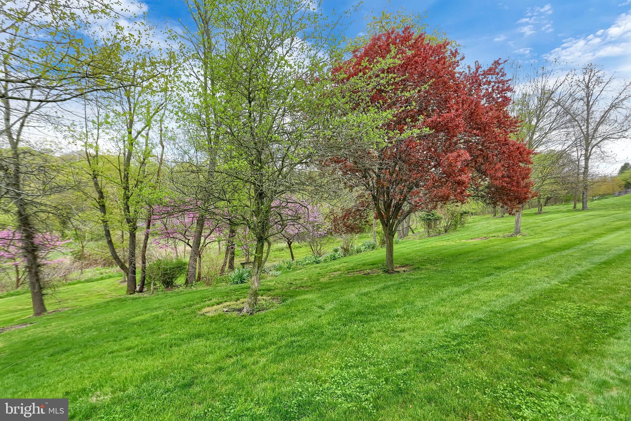 BENT CREEK CROSSING - Residential