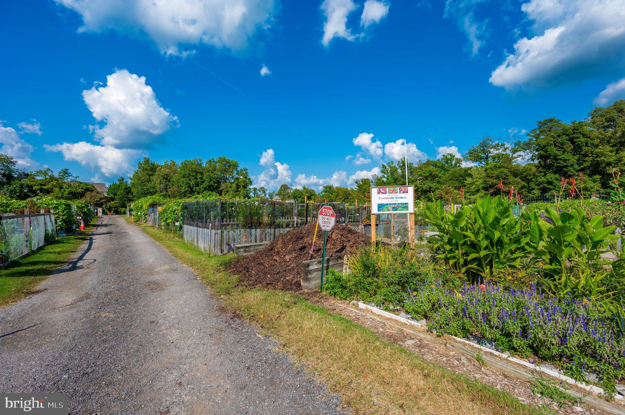 TURNBERRY COURTS AT LEIS - Residential