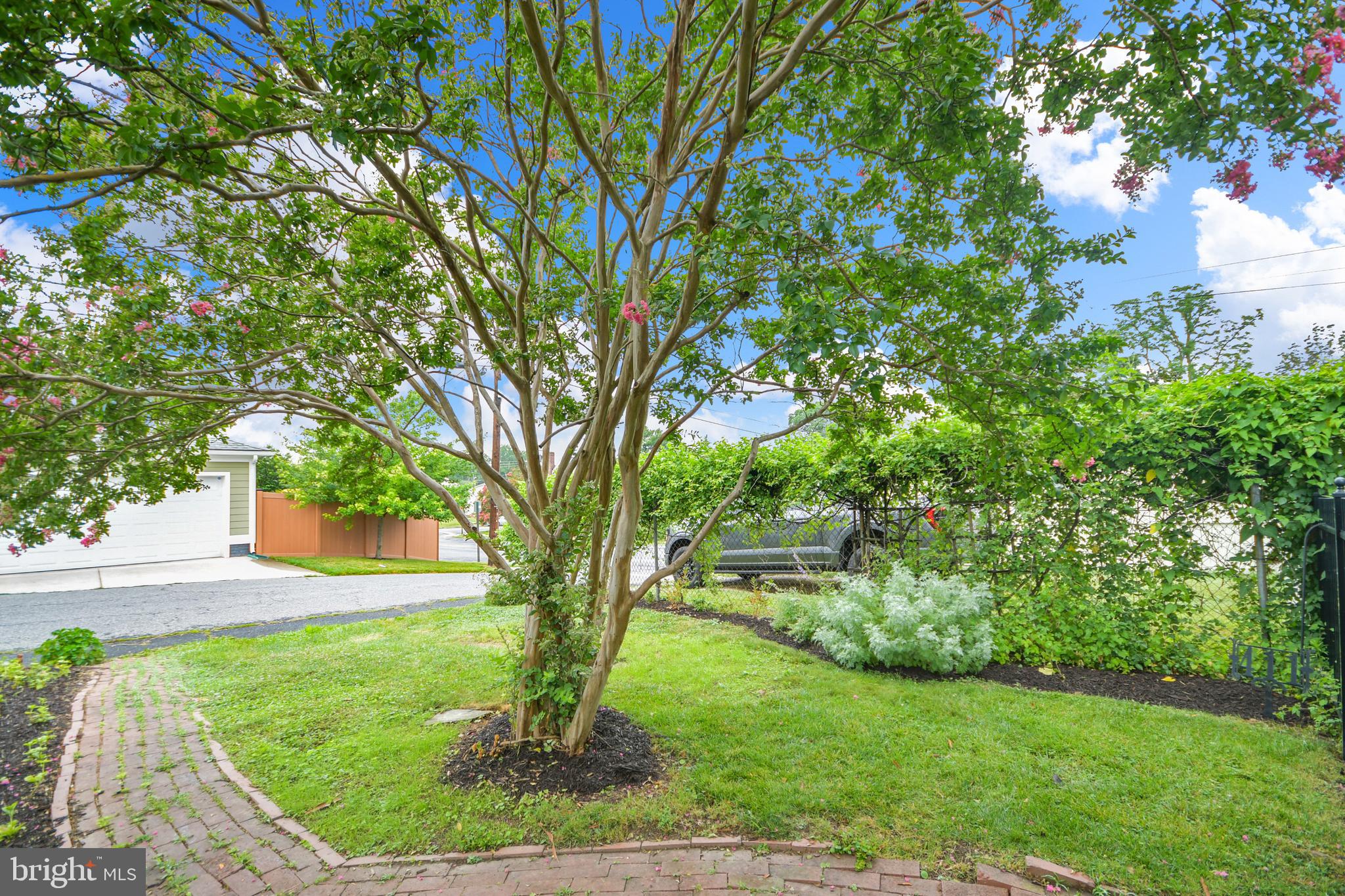 DOWNTOWN FREDERICK - Residential