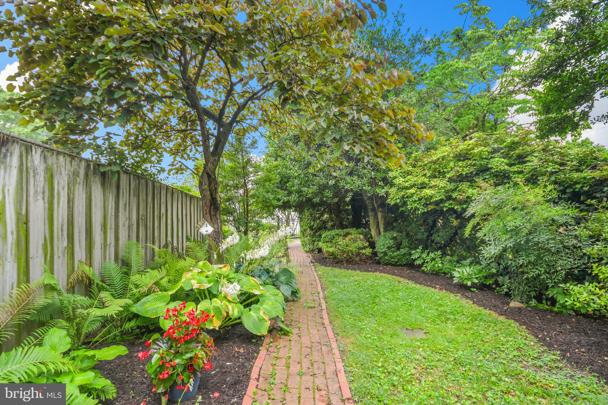 DOWNTOWN FREDERICK - Residential