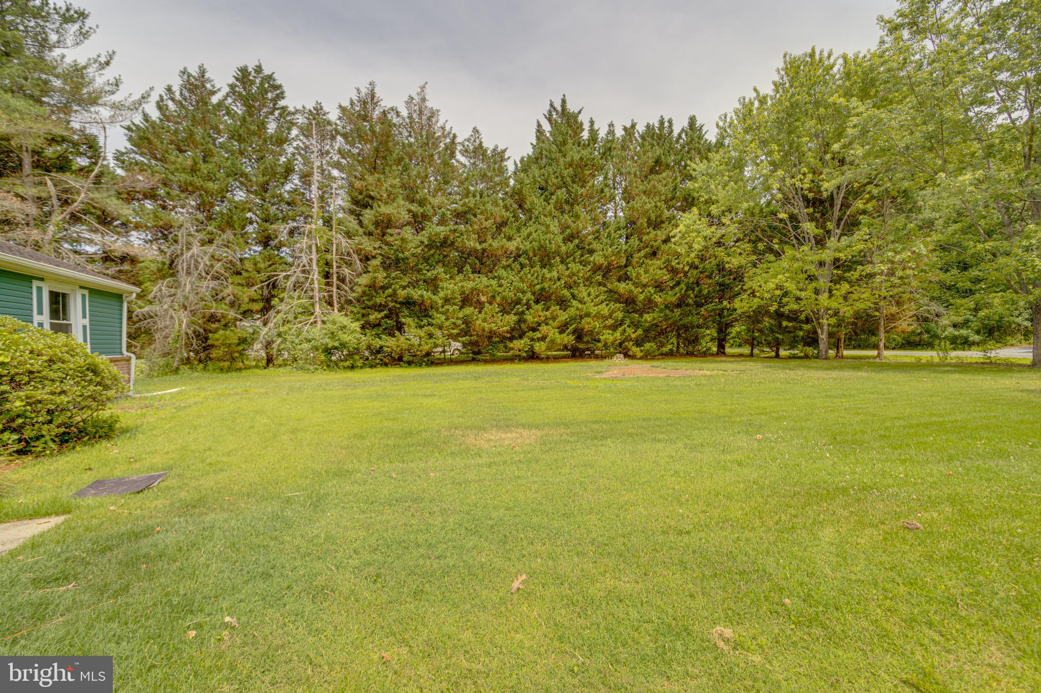 GOOSE HOLLOW - Residential