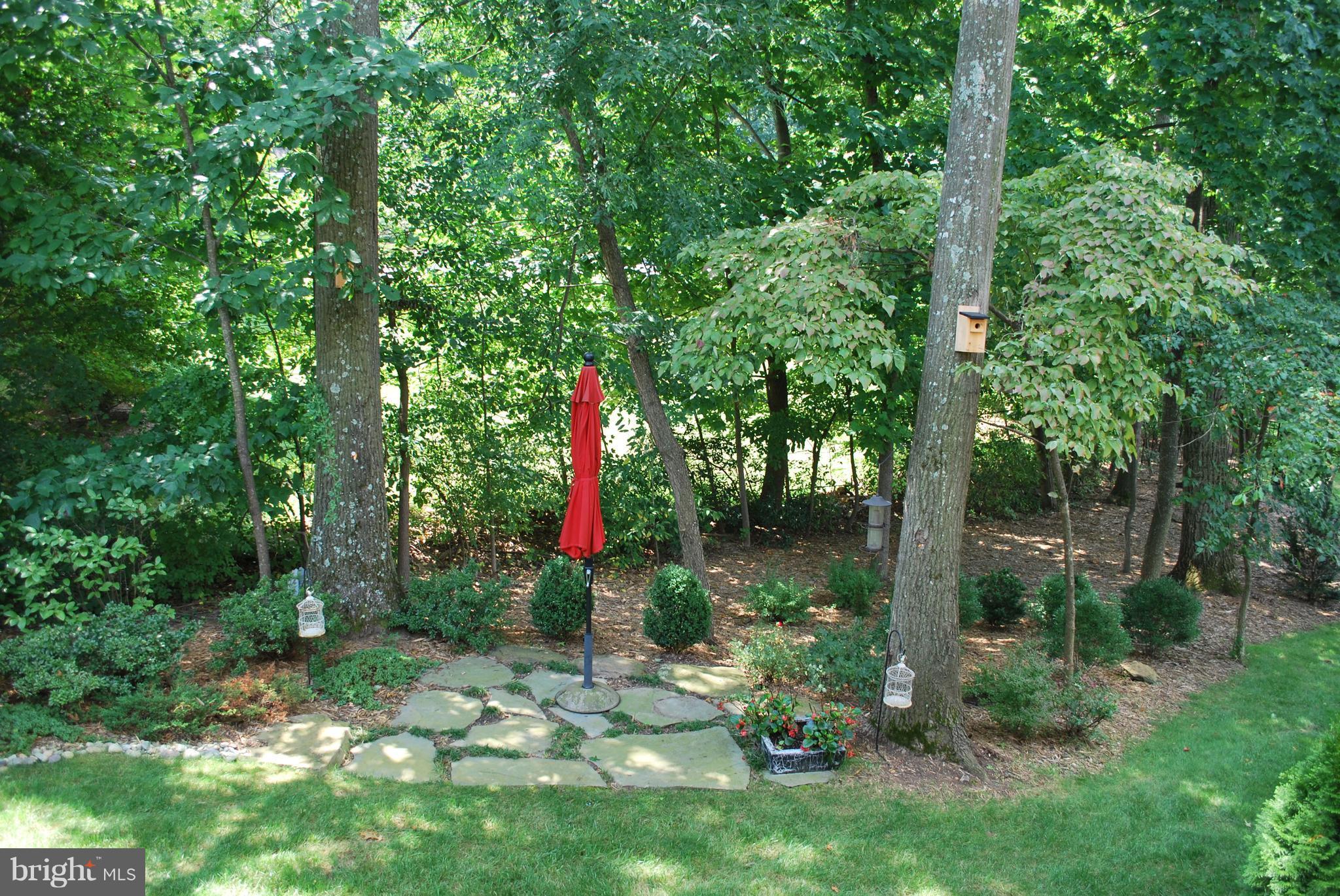 WOLF TRAP DOWNS - Residential