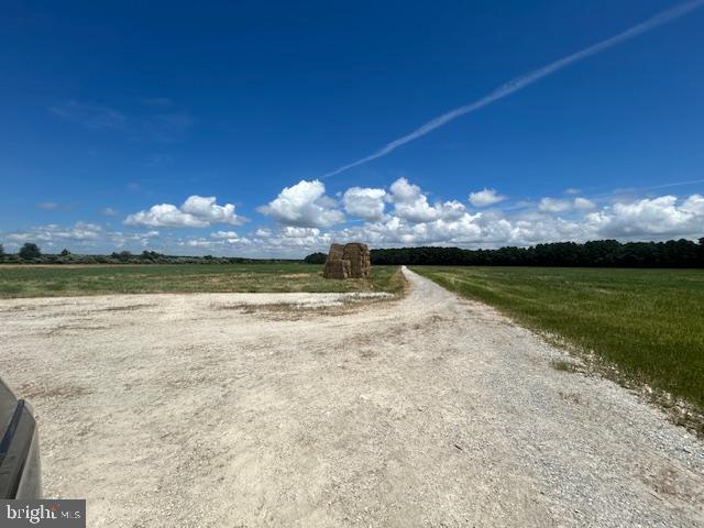 VIENNA - Farm