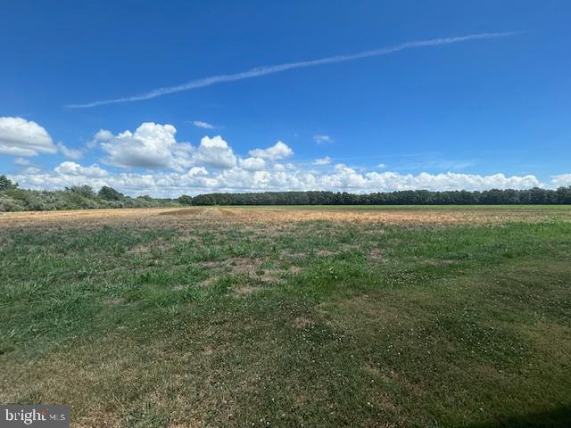 VIENNA - Farm