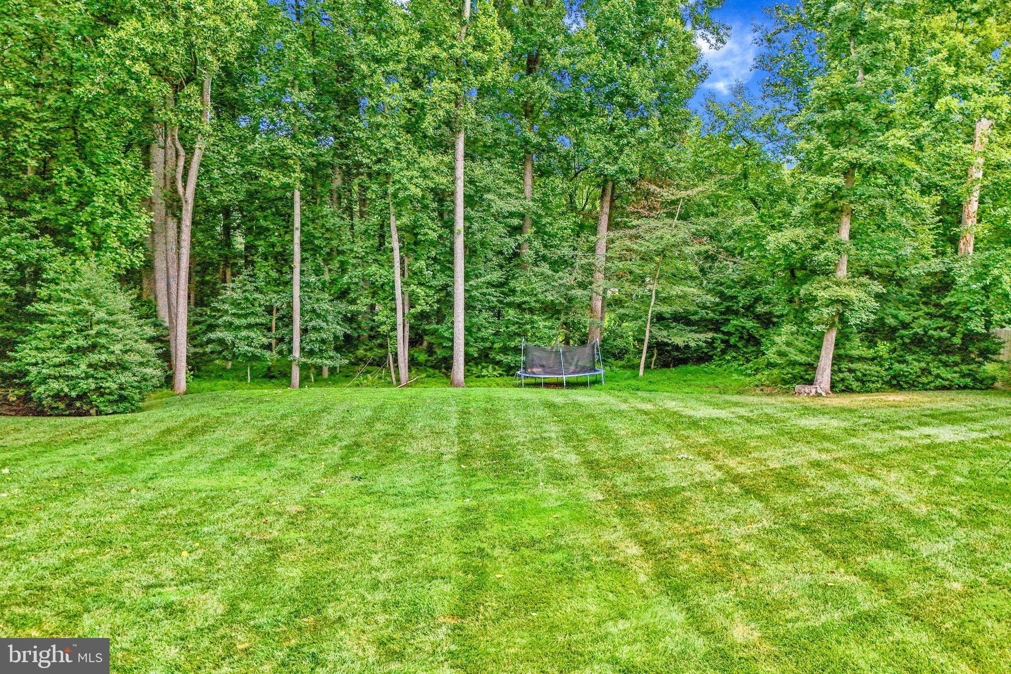 AMBERWOODS OF GREAT FALLS - Residential
