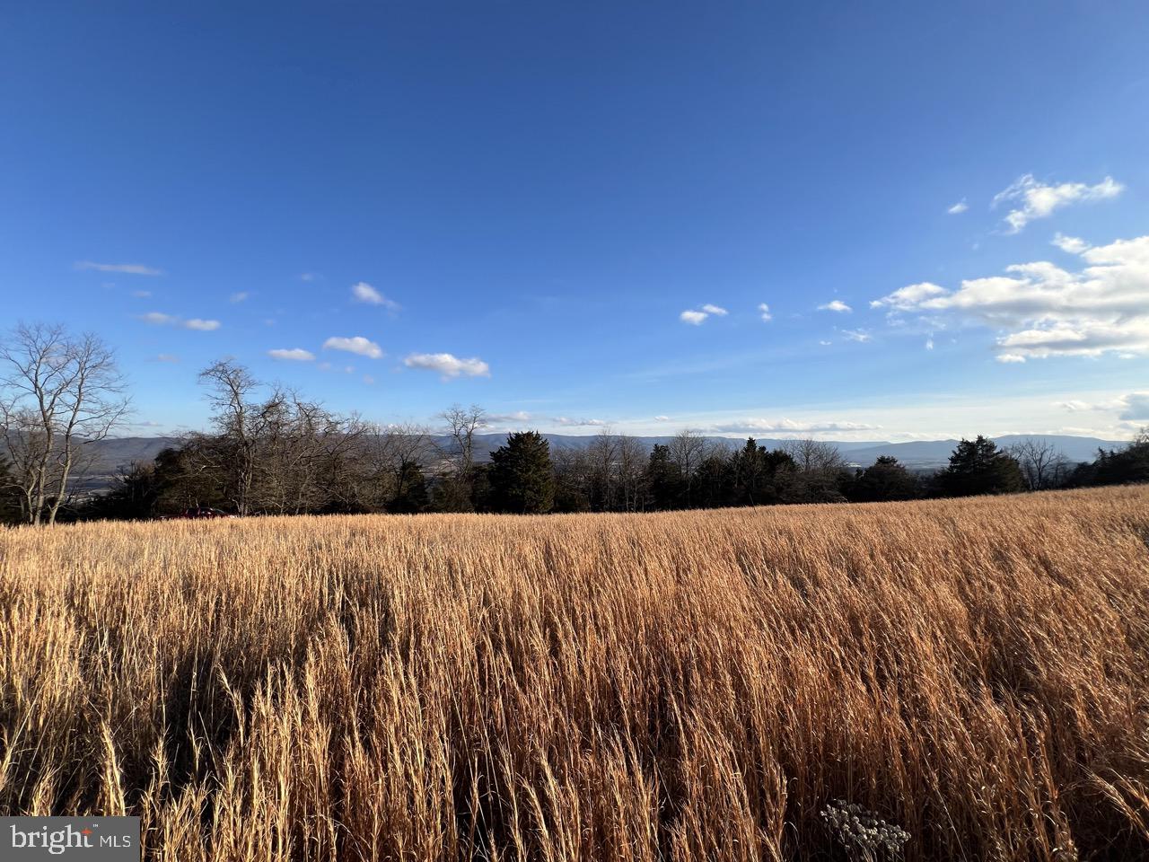 38.43 Acres just minutes outside of Moorefield off Corridor H/Rt 48.  Field, Woods, Views.