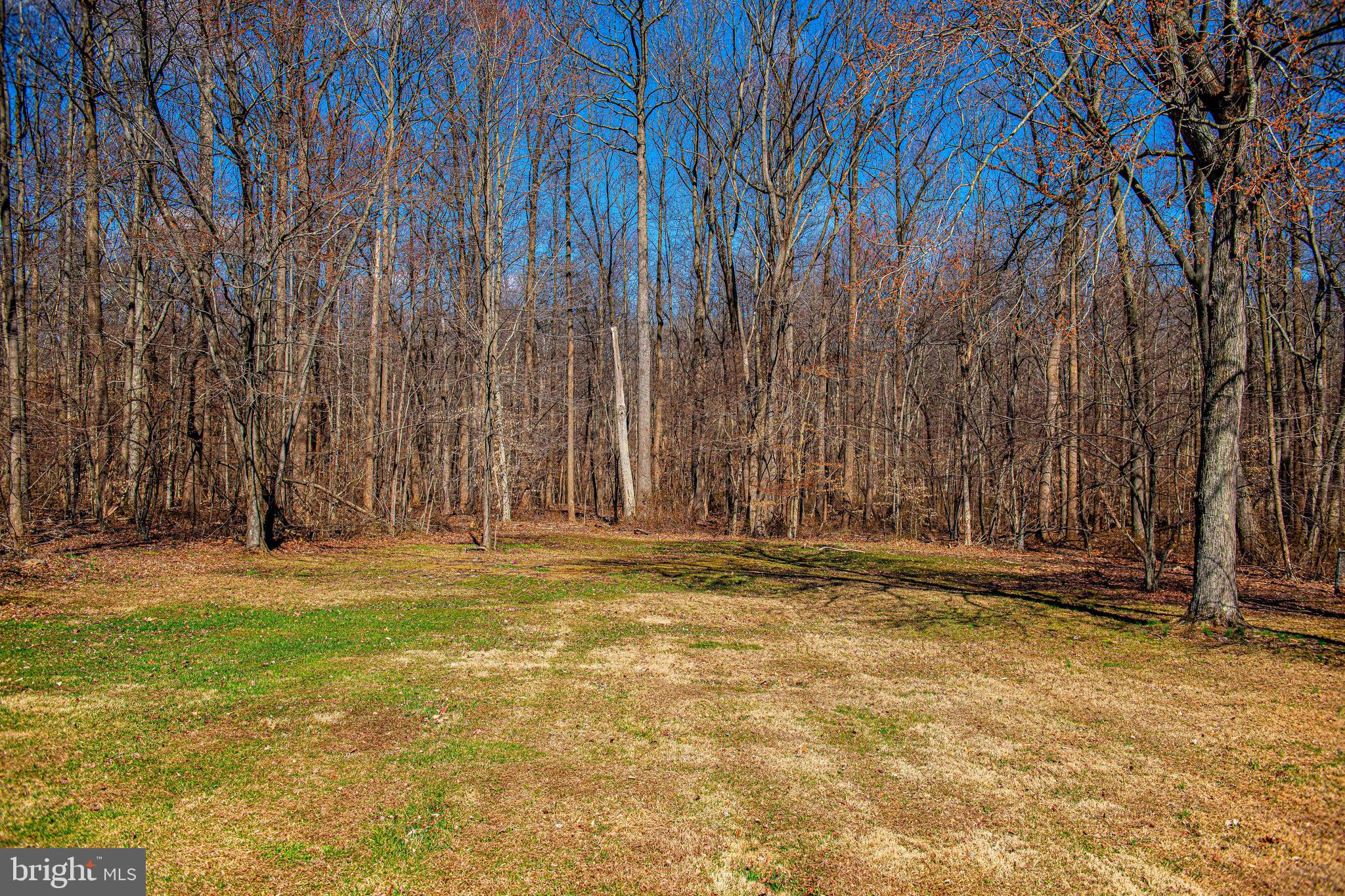 MAXA WOODS - Residential