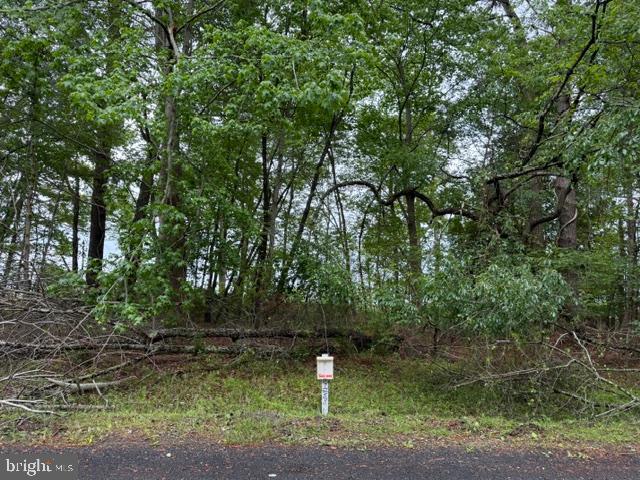 7/58 Oversized, wooded lot (10,969 sq ft.) located in Captains Cove that offers Chincoteague Bay views. Lot has water availability. Buy now and build later, take advantage of this great buy! No time frame to build and no builder-tie in, call for builders information. Relax and enjoy all the amenities and the lifestyle on the Eastern Shore of VA. Captains Cove is the Eastern Shore of Virginias fastest growing Golf & Waterfront community; close to Chincoteague Island, Wallops Island and Ocean City MD. HOA amenities: Pristine 9 Hole Golf Course, indoor/outdoor pools (2), fitness center, basketball & pickle-ball courts, boat ramp, docks, playground, walking & biking trails, picnic area, dog park, security and so much more.