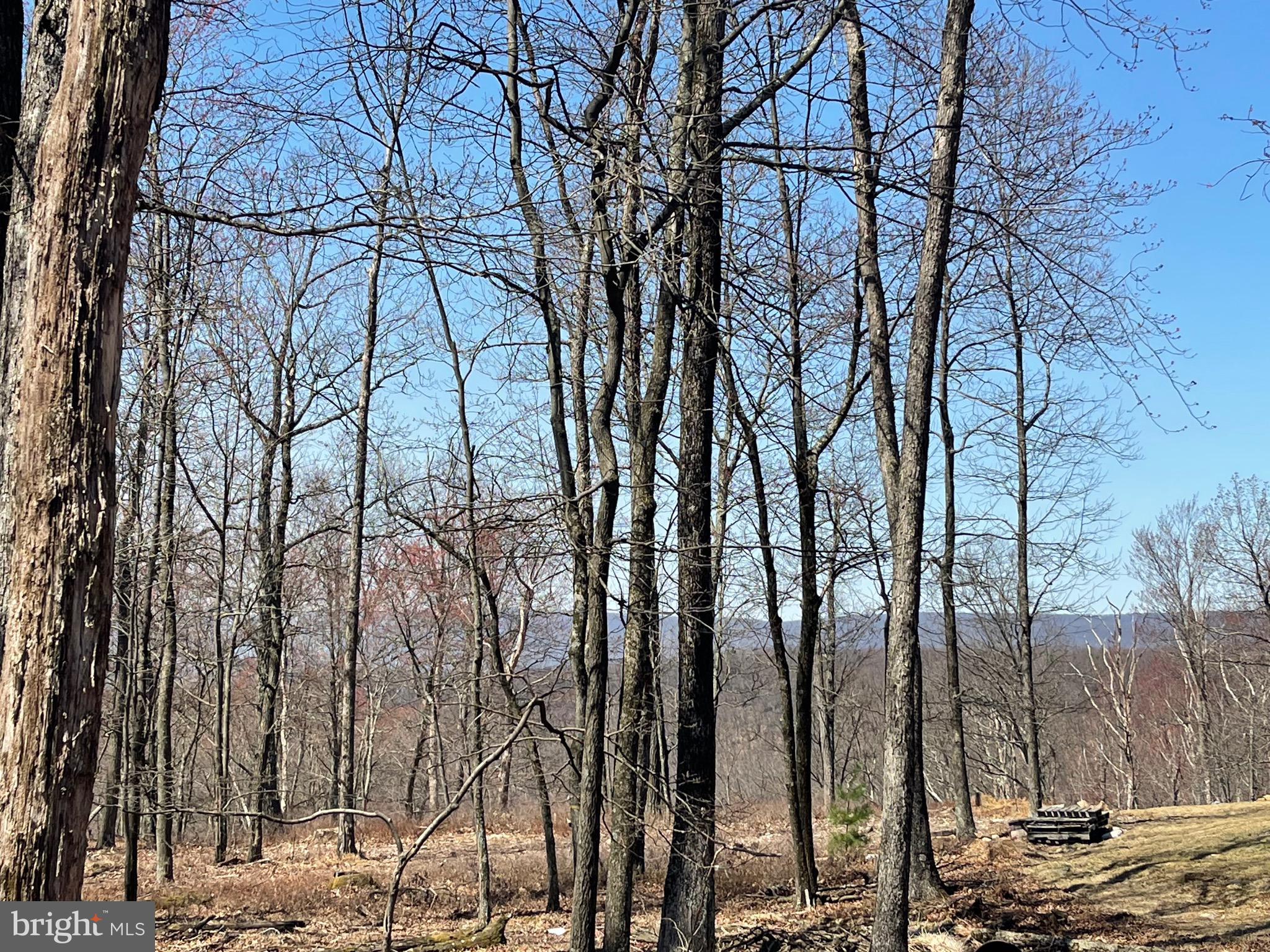 Looking to build in 2026 or beyond?  Secure your lot today!  Bring us your offers on this SMALL BUT MIGHTY level lot!!!  What this lot lacks in size you gain in VIEWS & PRIVACY....and....it's one of the last lots available on a paved road!!!   BUILD YOUR DREAM HOME on this .3 acre level lot atop the COVE VILLAGE COMMUNITY!  Clear the back of your lot to expose beautiful panoramic views.  EVEN BETTER, THIS LOT IS BORDERED BY HUNDREDS OF ACRES OF COMMUNITY RECREATIONAL LAND, MEANING THE ONE NEIGHBOR YOU HAVE IS ALL THAT YOU'LL HAVE!!  It also means your .3 acre lot feels like it's SO MUCH LARGER!  Whether you've been imagining building a second home or just waiting to build that forever home, WAIT NO MORE!  The Cove Village Community is situated in the foothills of the Poconos and only 1 1/2 hours to New York,  With easy access to I-81 your commute to Hazleton, Wilkes Barre, or Scranton is a breeze.  Bring your own builder and let's get started.   Another cost-saving perc of the community is having public water and sewer already in place and ready for you to connect through Aqua of Pa.   750 acres of unoccupied prime hunting, ATV, and snowmobile riding land surround the residential portion of Cove Village and is allocated only for the residents of the community and their guests!  Driving through the community, the peace and tranquility will envelop you.  At any given moment the deer, turkey, and birds will entertain you in your own backyard.   Homes within the community vary from rustic cabins and chalets to traditional ranch or two-story homes and even exquisite new construction or dreamy mountain log homes.  There really is something for everyone.  The approximately 278 acres of residential homes and lots are occupied by full-time residents, part-time vacation homes, and even some snowbird second homes.  Cove Village offers an abundance of amenities including a swimming pool, stocked fishing lake, a basketball court, tennis courts, a volleyball court, 2 playgrounds, a baseball field, ATV paths, hunting, a mini golf course, walking paths, and year-round Community events.  I can't forget to mention the beautiful lodge ideal to rent for family gatherings.   This lot and community just might be exactly what you've been looking for.  Air B and B are not permitted. Camping on vacant lots is not permitted.  Mobile homes are not permitted.  The minimum square footage when building is 1400 square feet.  The community maintains the roads and snow removal.  Trash collection is also provided.   An appointment is required to view due to the gated community.  Call to schedule your tour today!