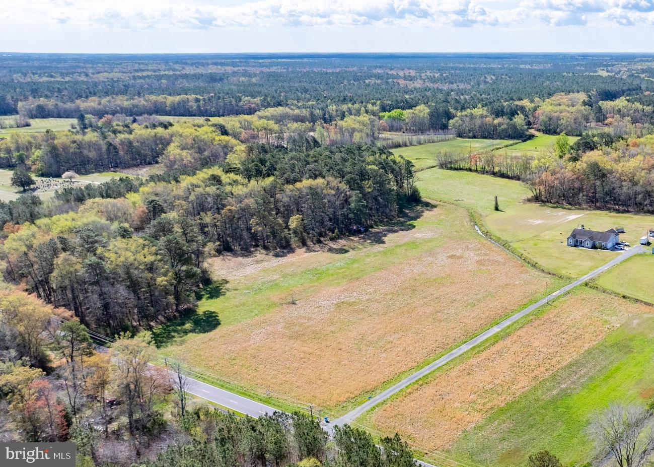 Welcome to your own private oasis in Salisbury, MD! This stunning property boasts 13.05 acres of pristine land in Worcester County, with two previously perc approved lots ready for your dream home(s) to be built. Imagine waking up to the tranquil sounds of nature surrounding you, while still being just a short drive away from all the amenities and attractions that Salisbury has to offer. Don't miss out on this rare opportunity to create your perfect retreat in beautiful Maryland countryside.