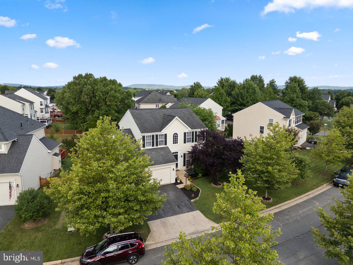 NEW TOWN MEADOWS - Residential