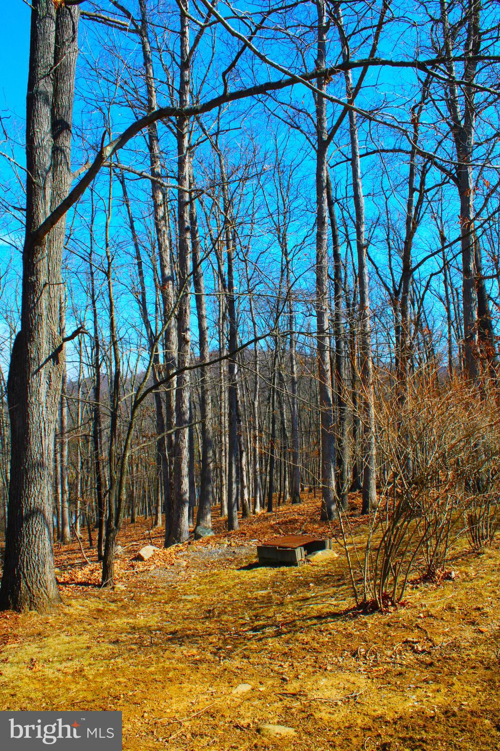 NEW  CREEK - Residential