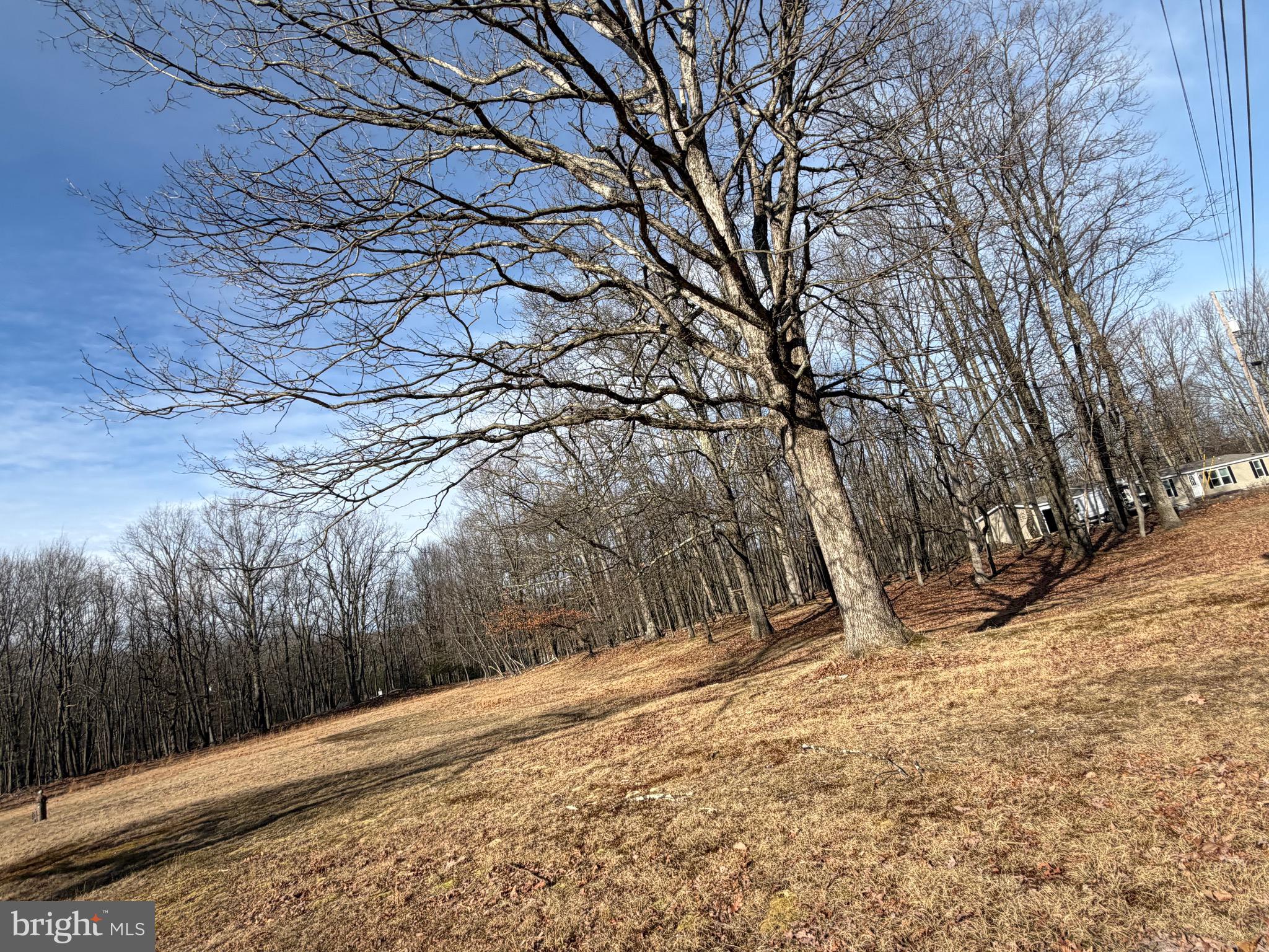 COVE VILLAGE - Land