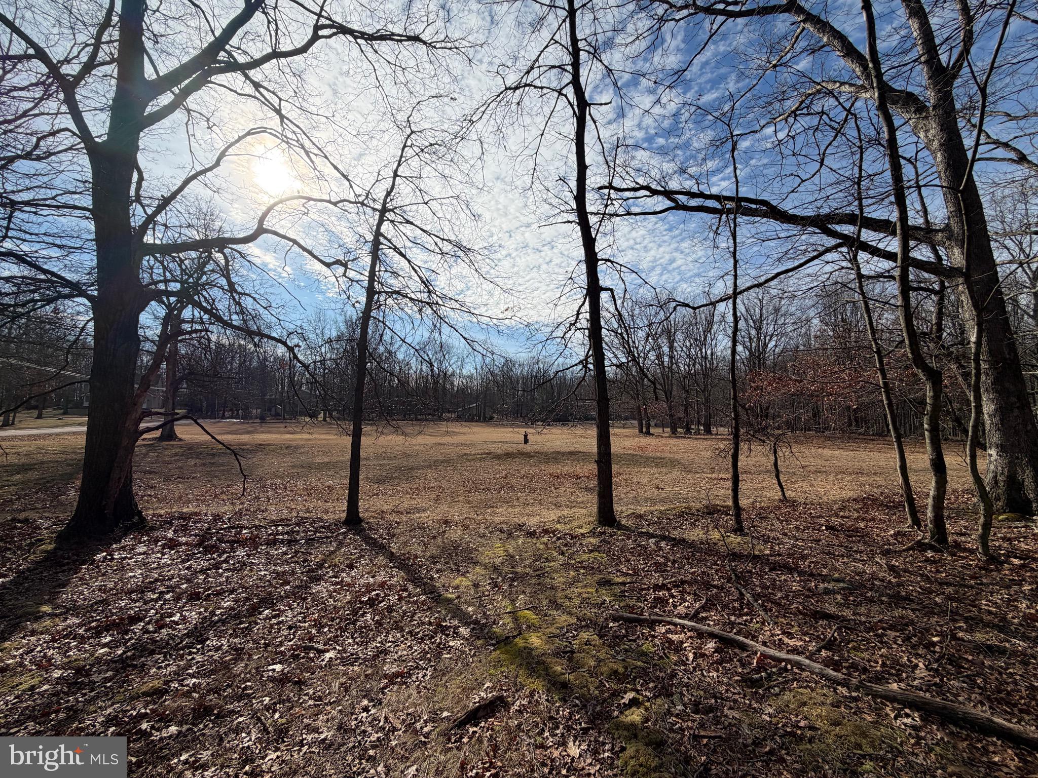 COVE VILLAGE - Land