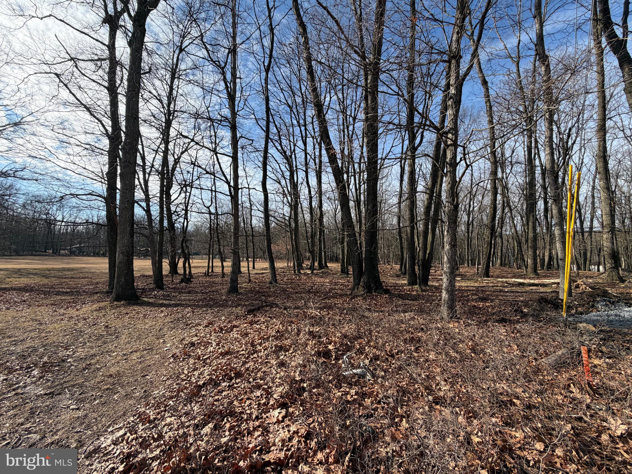 COVE VILLAGE - Land