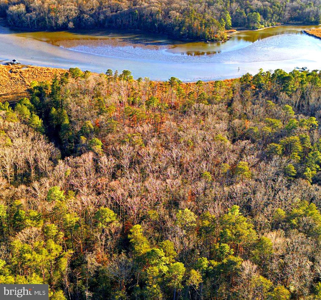At last—an affordable waterfront and water-access opportunity on Rosier’s Creek, just minutes from the open waters of the Potomac River.

This beautiful waterfront community features pleasantly level lots with a gentle slope down to the water, offering the perfect balance of usability and scenic beauty. Rosier’s Landing provides a rare chance to enjoy protected creek frontage with quick access to the Potomac River.

Each homesite includes a deeded boat slip at the community dock, making boating, fishing, and waterfront living effortless and convenient. The community is thoughtfully designed with a single cul-de-sac, enhancing privacy while maintaining easy access.

Only six exclusive lots are available:

Three interior homesites, up to 6 acres

Three waterfront homesites, approximately 6 acres each

Buyers may bring their own builder or work with one of our custom home builders to create the home of their dreams. Enjoy modern conveniences including high-speed internet and state-maintained roads all the way to the community cul-de-sac. Ideally located just minutes from the new Route 301 bridge and a short drive to I-95, Rosier’s Landing offers both tranquility and accessibility.

Prices start at $249,900.
With limited availability, these exceptional homesites will not last long.

Schedule your personal tour today and experience waterfront living at Rosier’s Landing.
