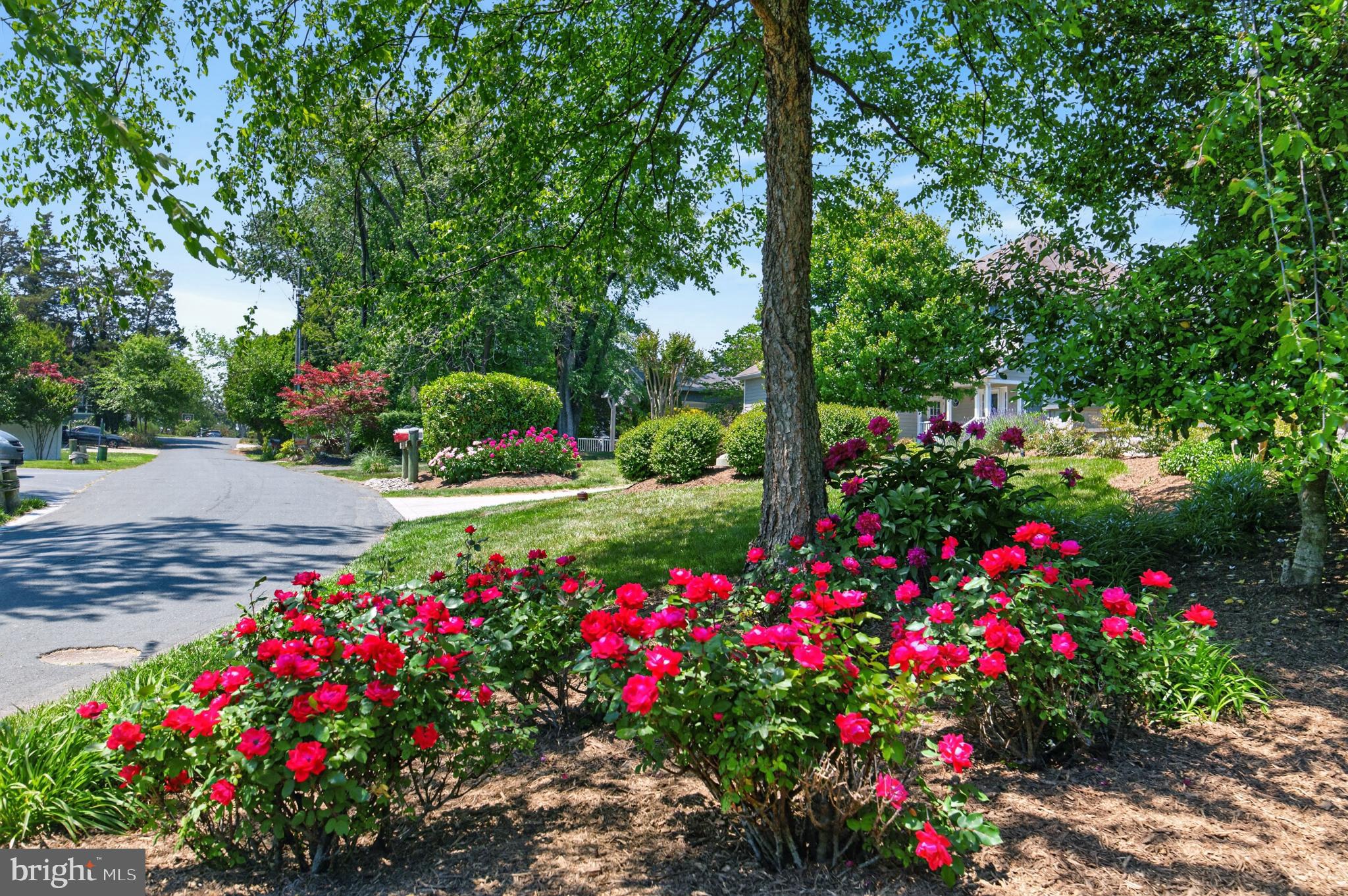 TURKEY POINT - Residential