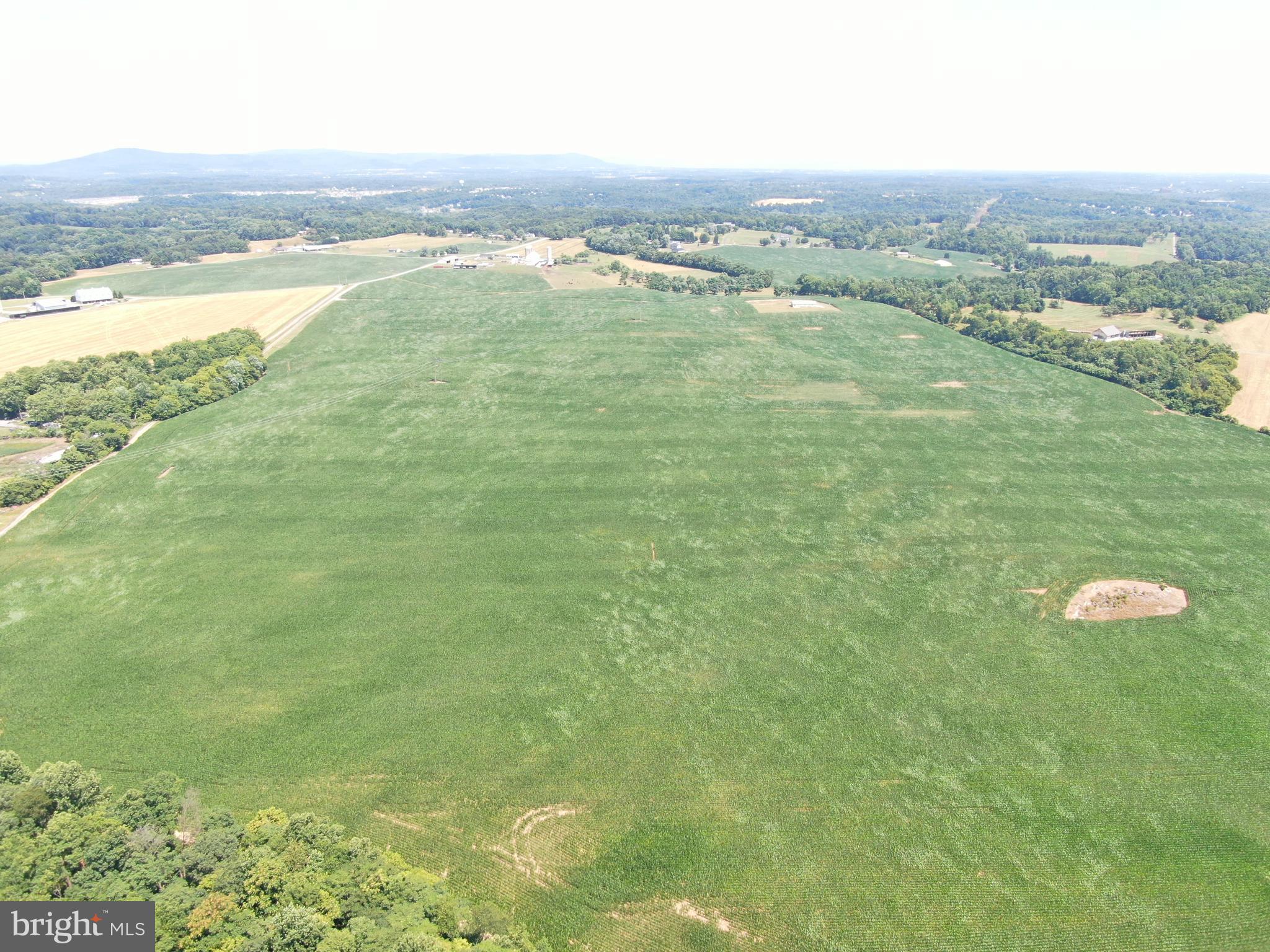 NONE AVAILABLE - Farm
