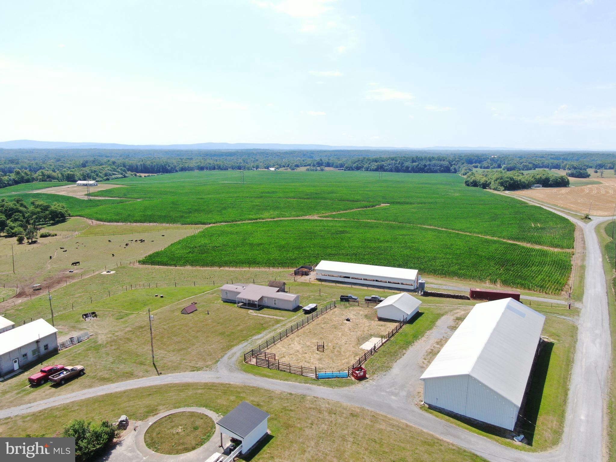 NONE AVAILABLE - Farm