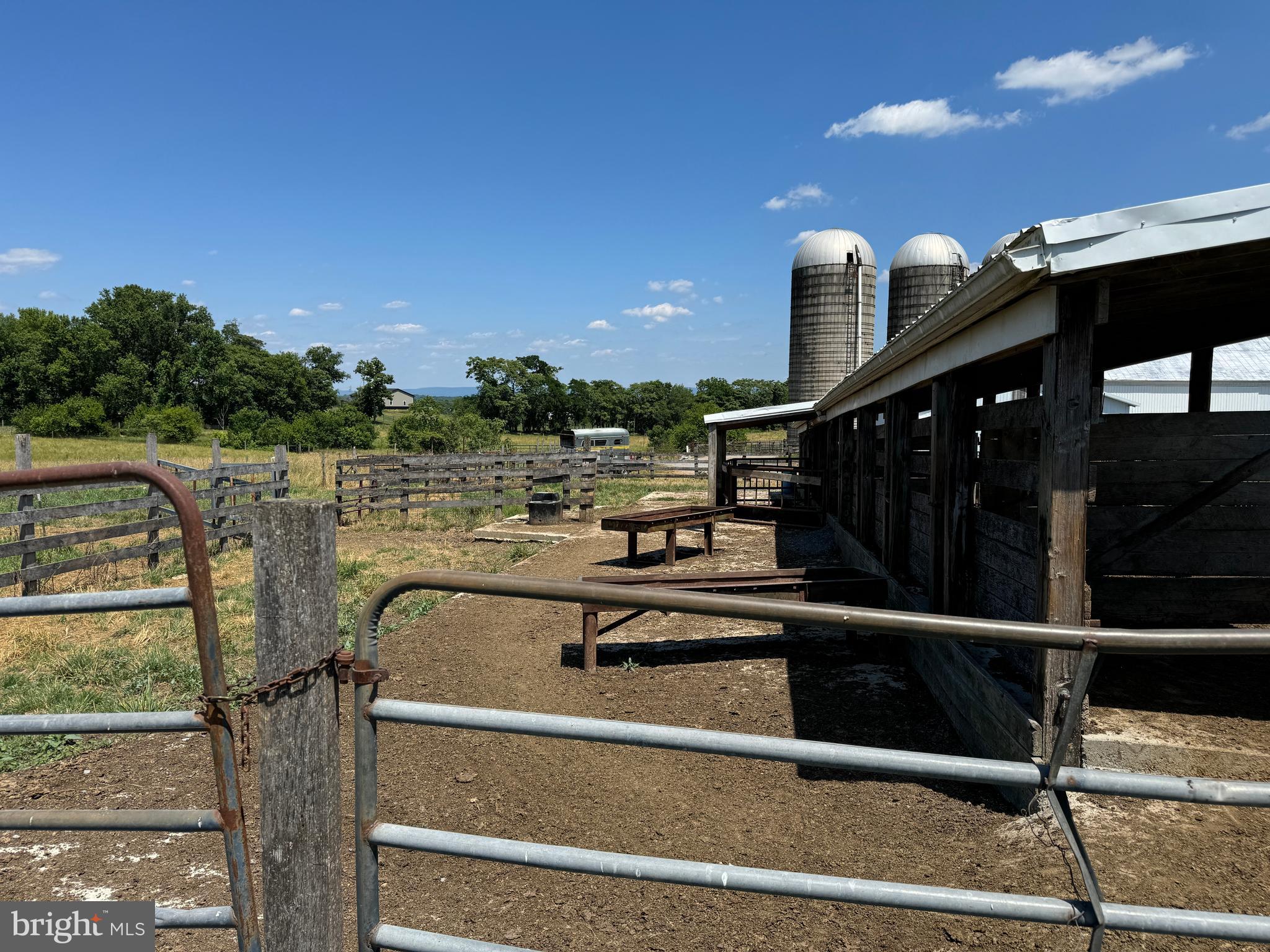 NONE AVAILABLE - Farm