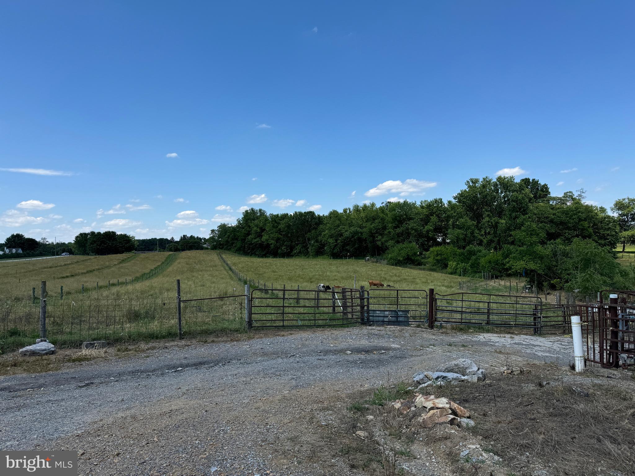 NONE AVAILABLE - Farm
