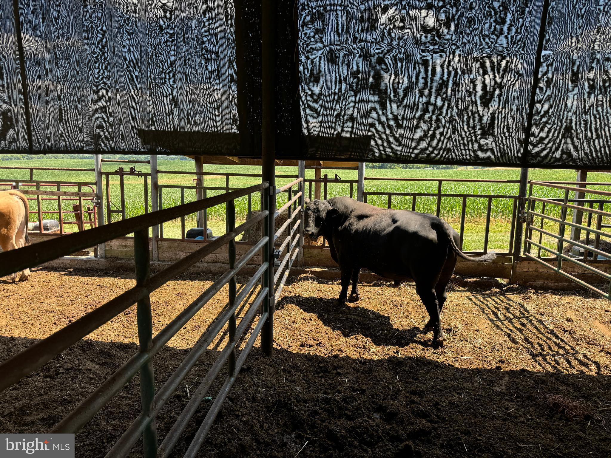 NONE AVAILABLE - Farm