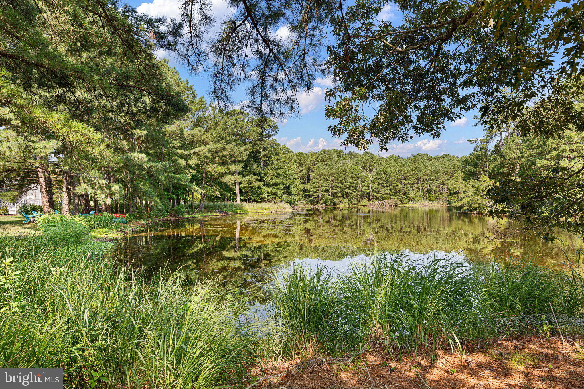 SALT POND - Residential