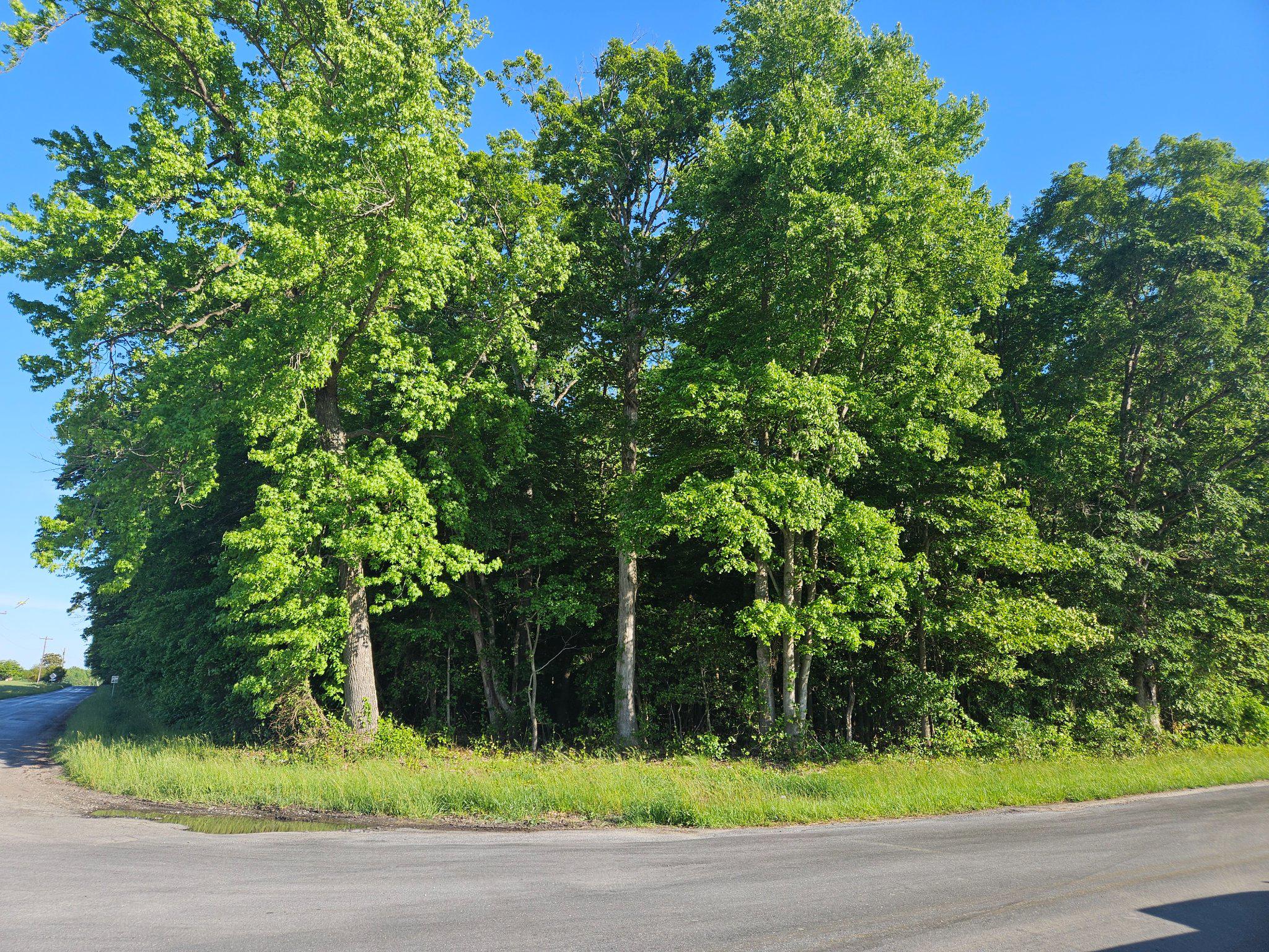 Large wooded lot on the outside of town.  Perc approved for a 2' mound system.  Located at the corner of Sunset Ave and River Rds.   4.3 acres    Some forest conservation area.  Only four lots in this  subdivision and only three lots available.